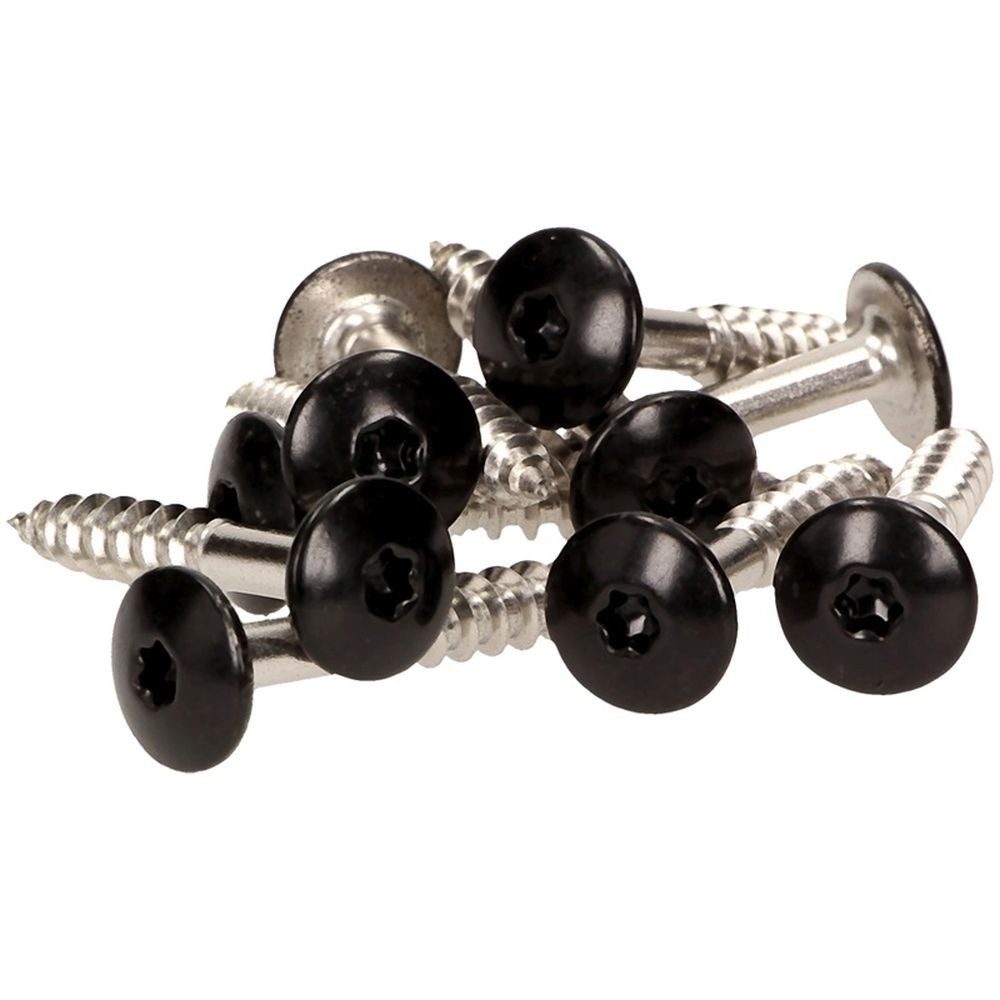 Meisterling® Fassadenschraube INOX, (V4A - 4,8 x 20 mm, Flachkopf Torx T20, 100 Stk), Weiss