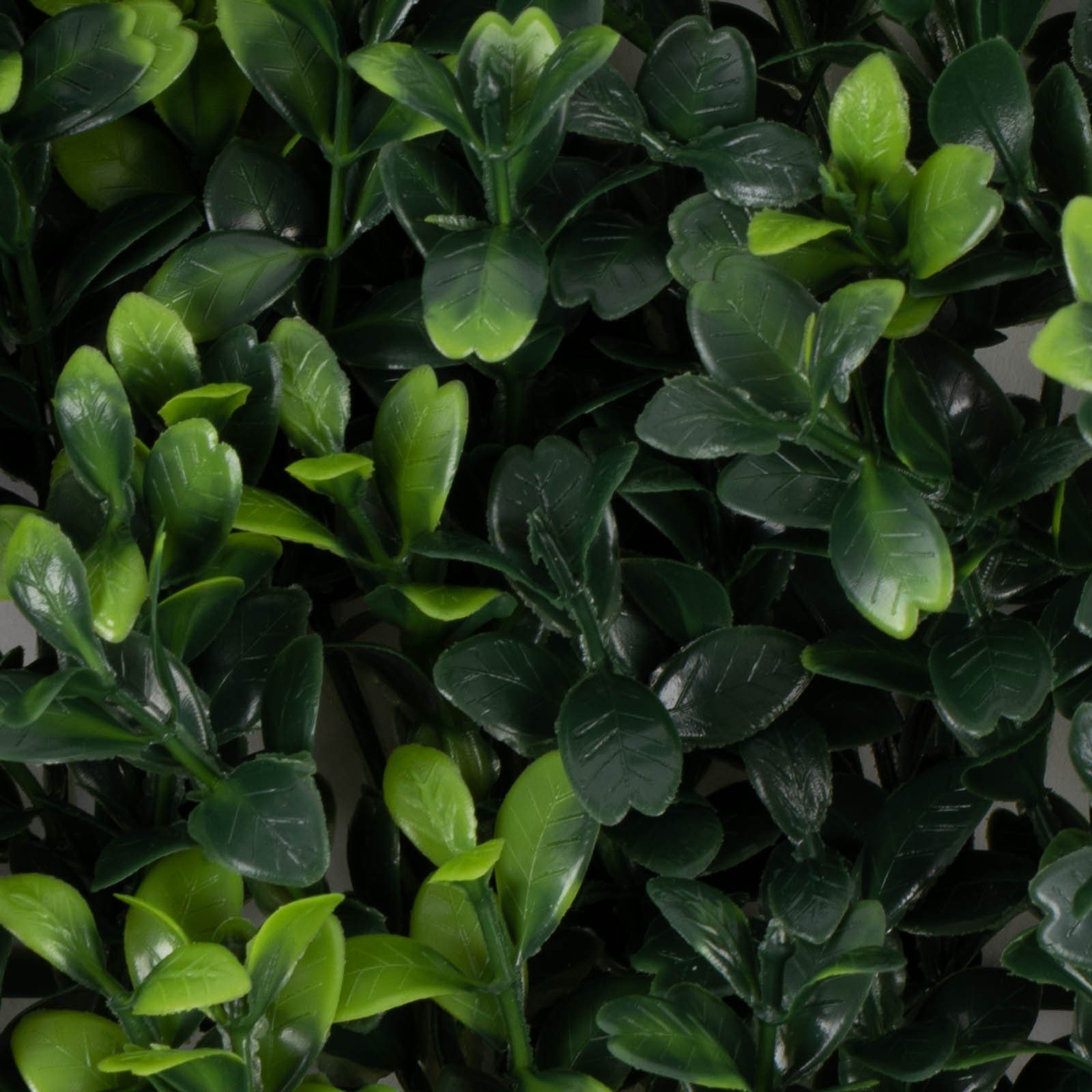 Pflanzenwand Kunstpflanze Karat, Boxwood, UV-beständig