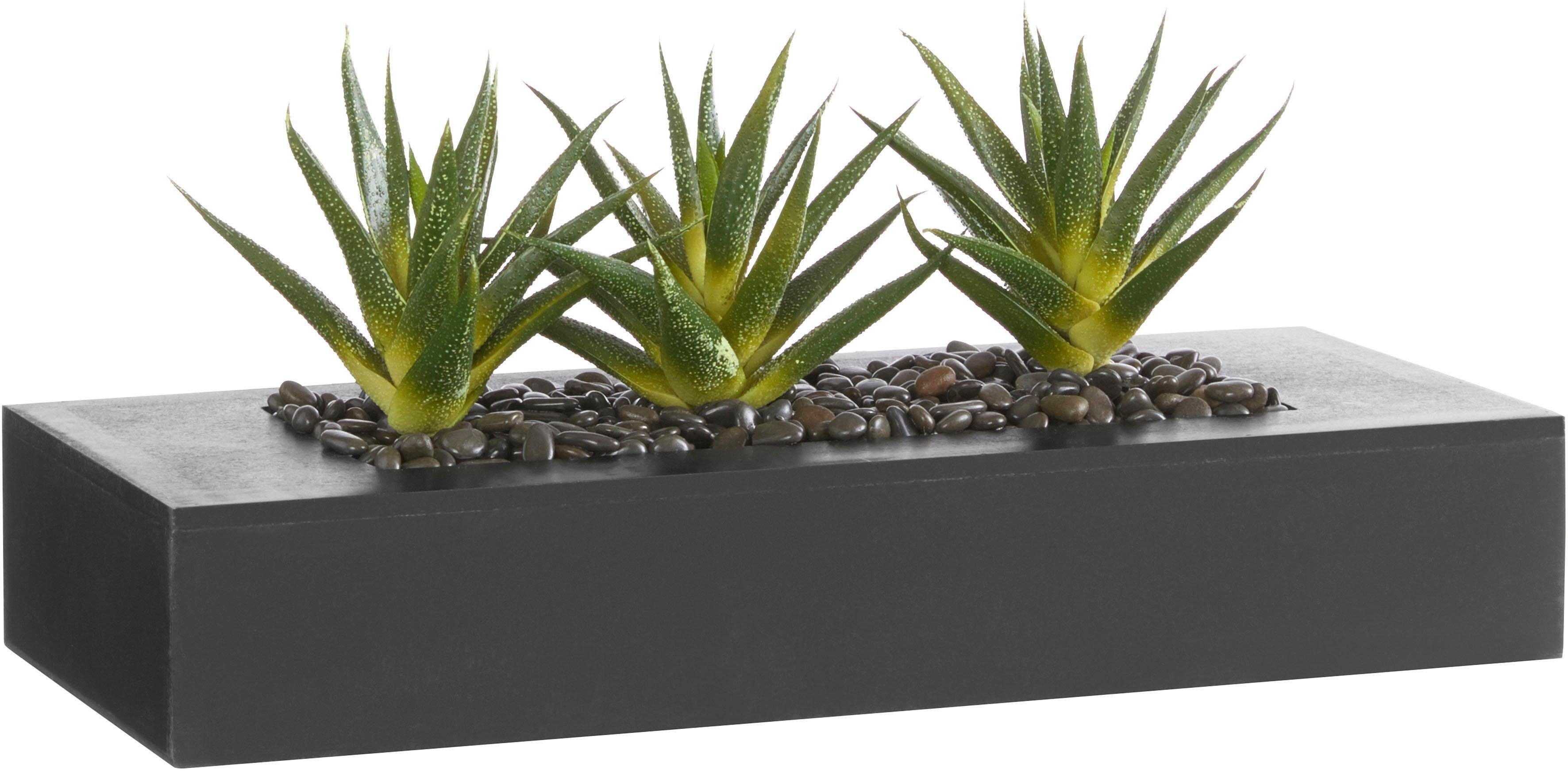 Kunstkaktus, Creativ green, Höhe 16 cm günstig online kaufen