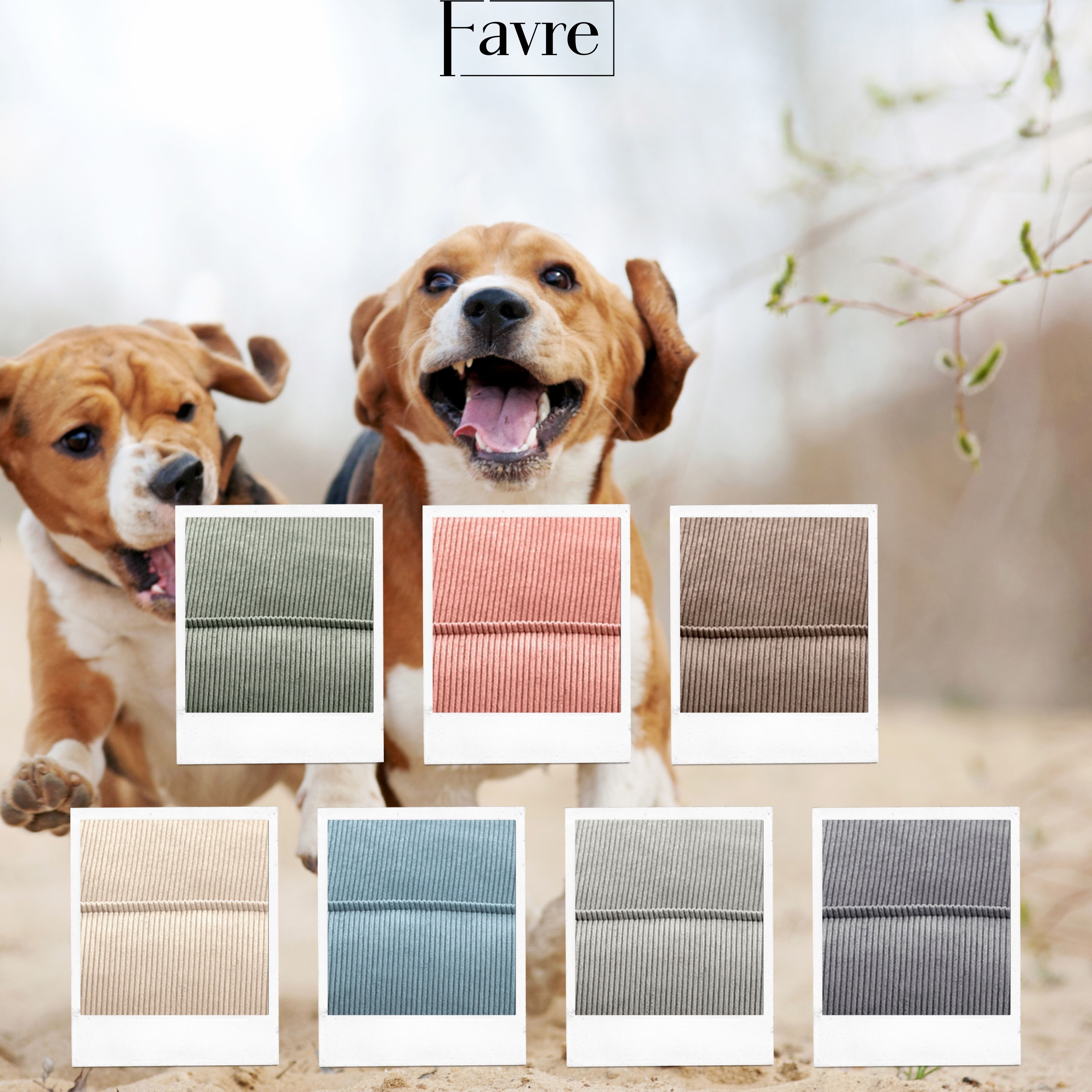 FAVRE Tierbett Hundebett Lucky mit abnehmbarem, waschbarem Cord-Bezug, 100% Polyester, verschiedene Größen, Gratis Kopfkissen