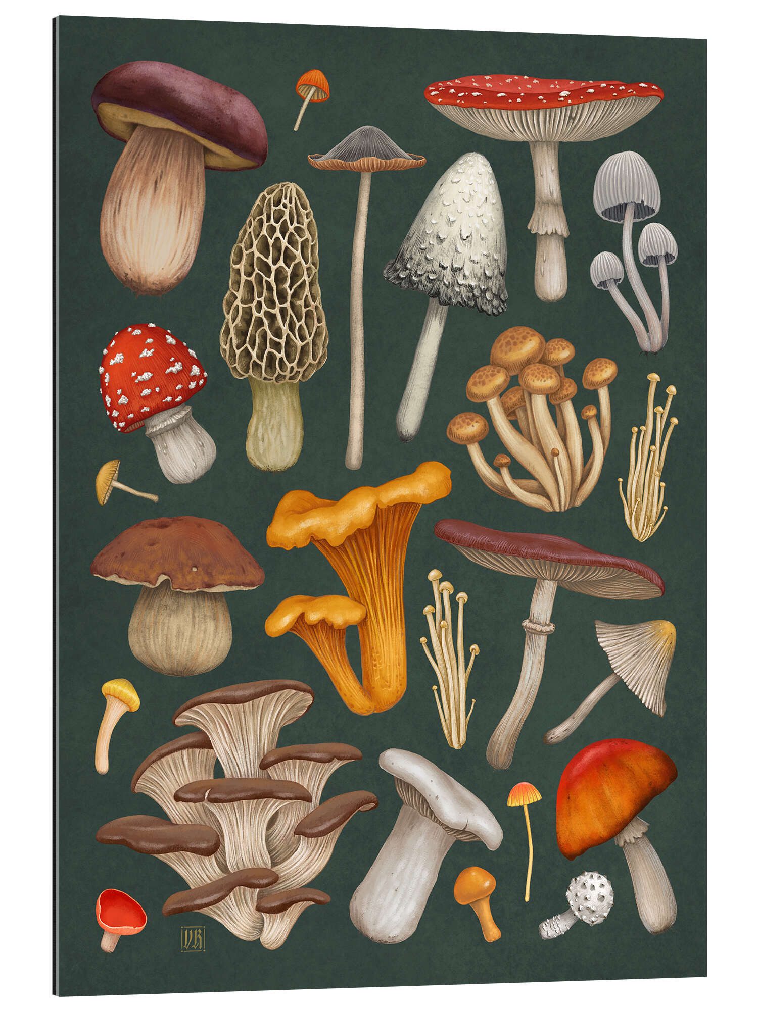 Posterlounge XXL-Wandbild Vasilisa Romanenko, Pilze, Küche Natürlichkeit Malerei