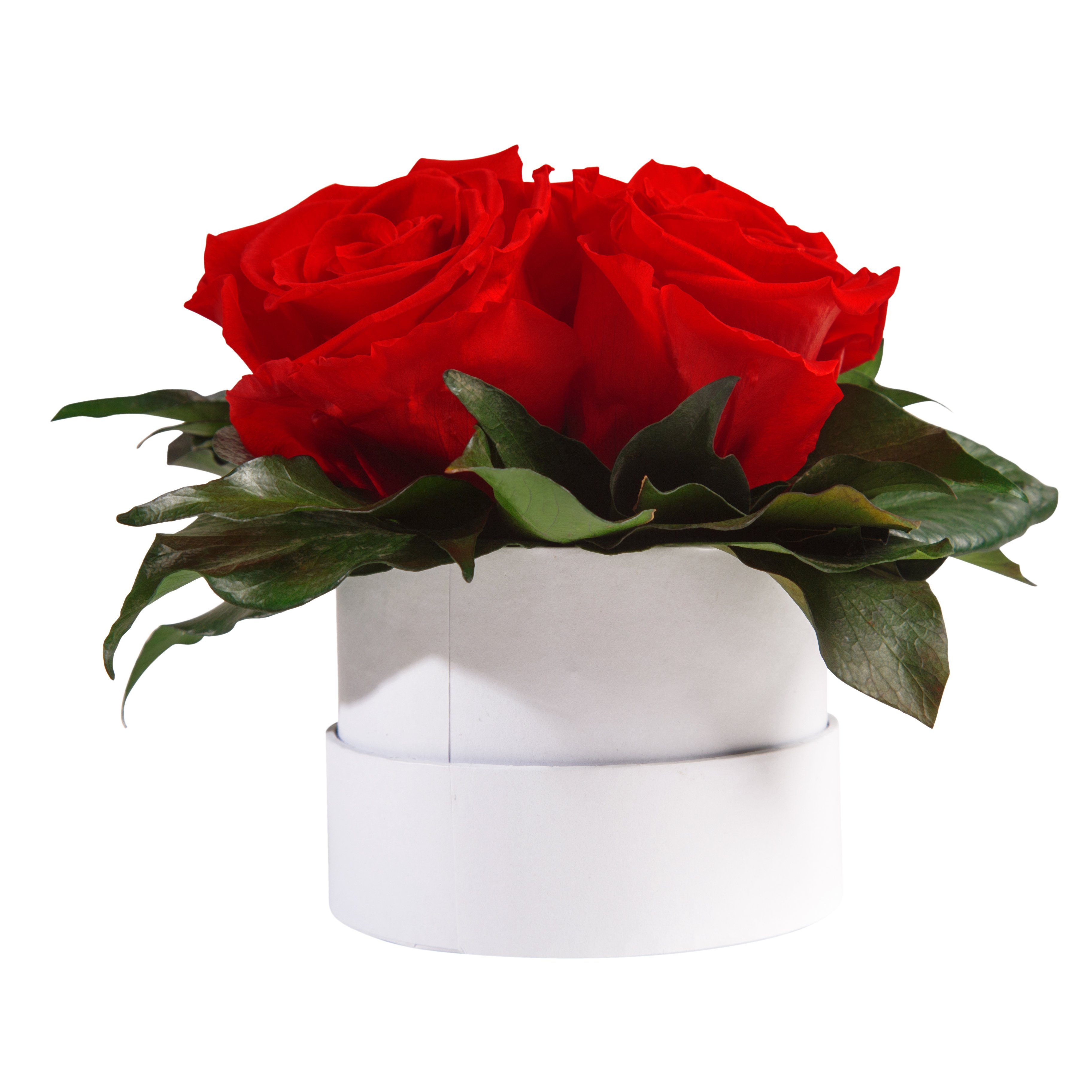 Kunstblume Infinity Rosenbox weiß rund 3 günstig online kaufen