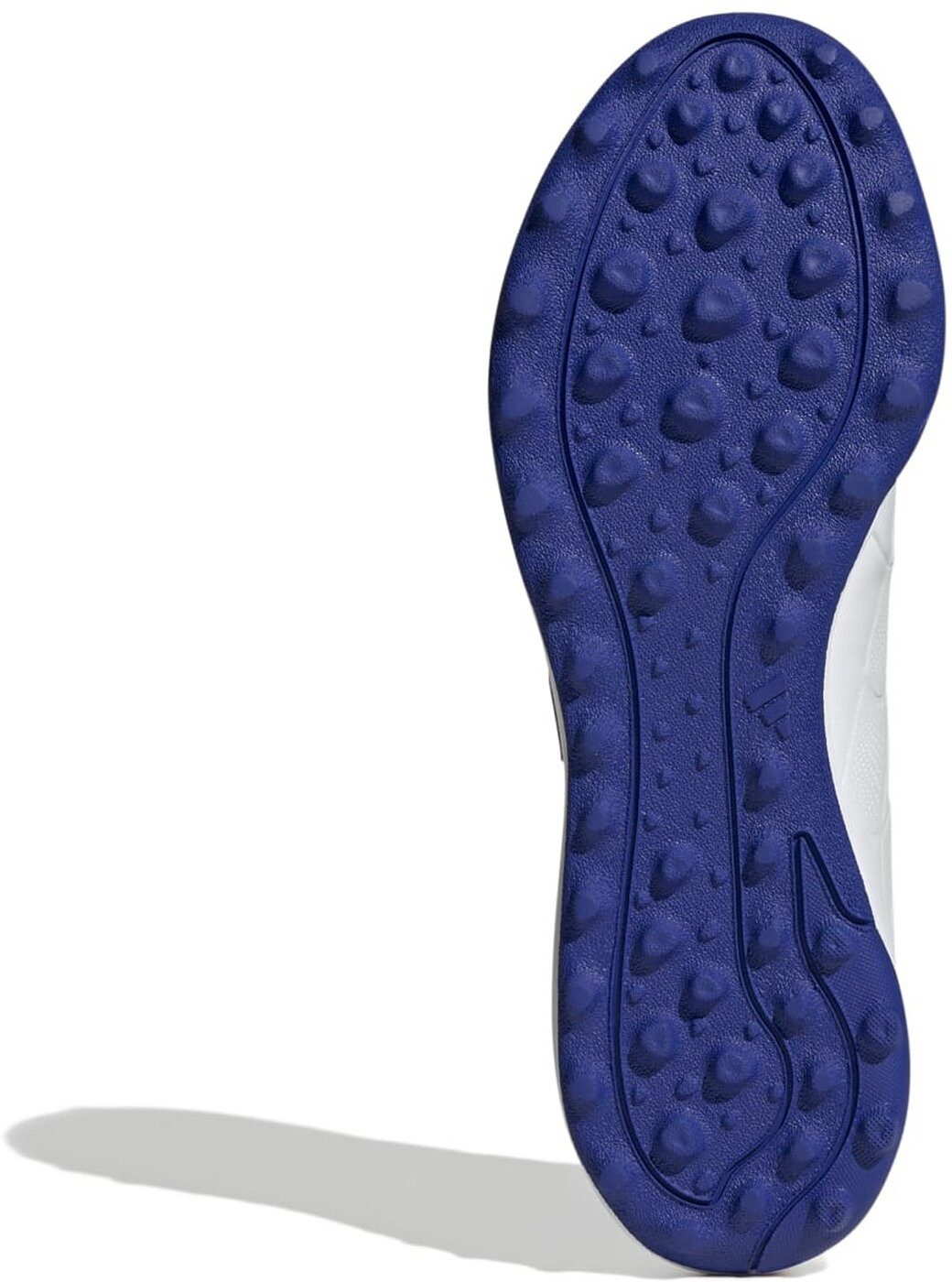 adidas Sportswear Fußballschuh COPA PURE 2 günstig online kaufen