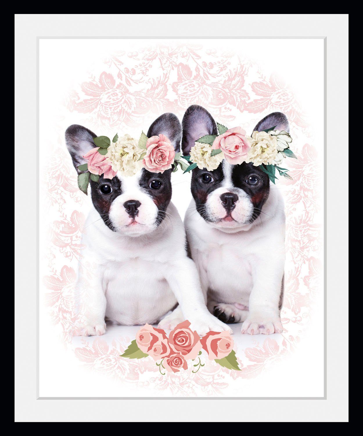 (1 Bild St) Hunde Zwillinge, queence