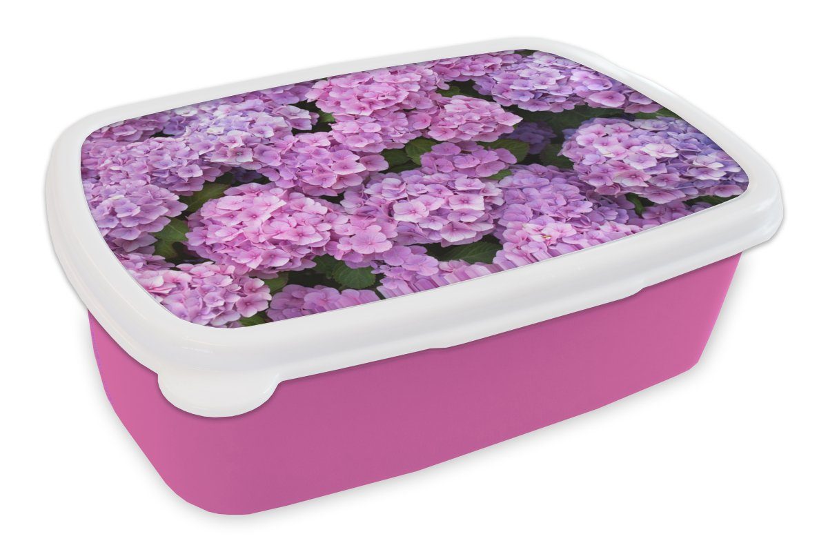 MuchoWow Lunchbox Blumen - Hortensie - Strauch - Rosa - Blütenblätter, Kunststoff, (2-tlg), Brotbox für Erwachsene, Brotdose Kinder, Snackbox, Mädchen, Kunststoff