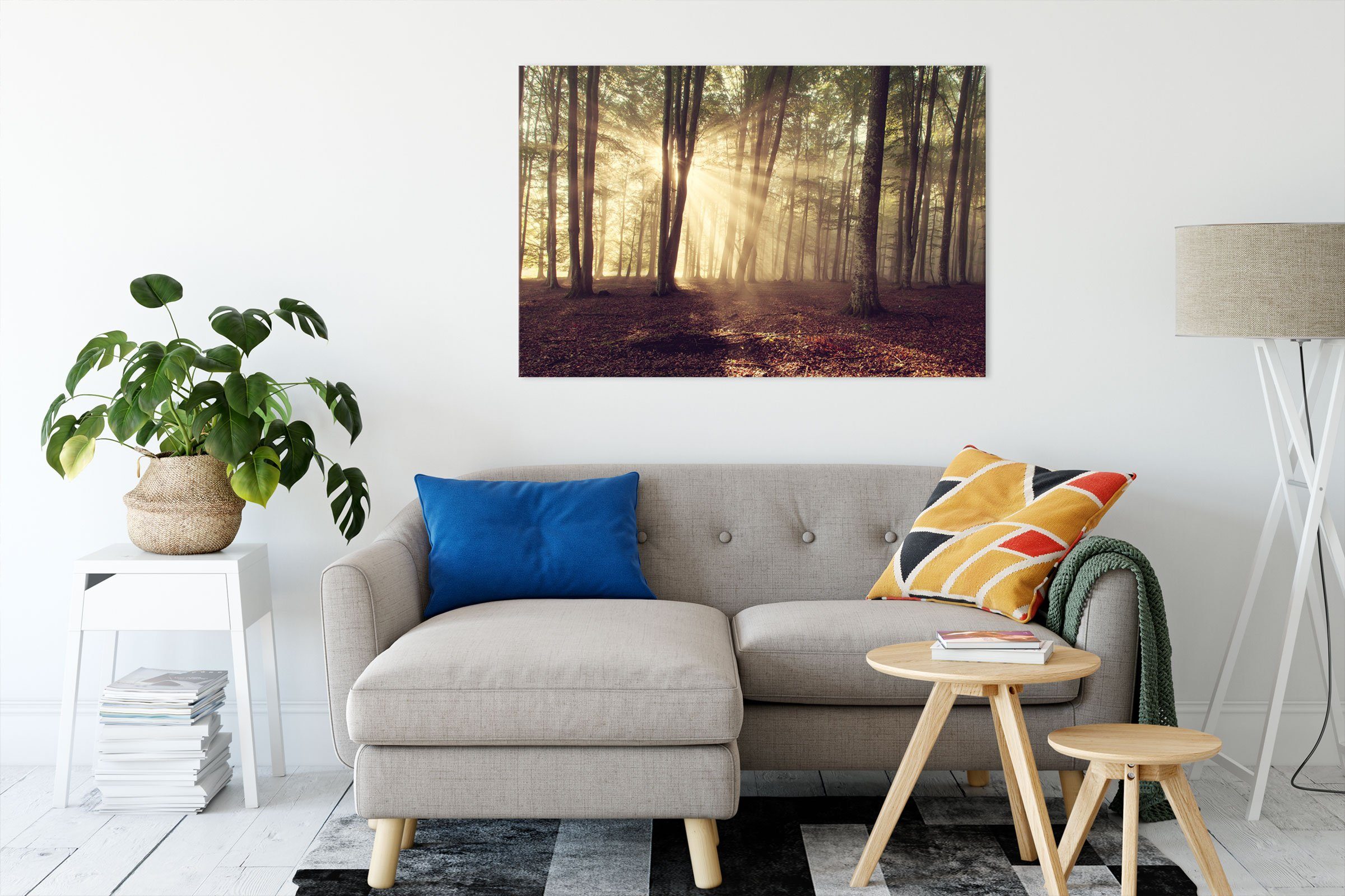 Waldlichtung im inkl. St), (1 Sonnenschein fertig im bespannt, Pixxprint Sonnenschein, Leinwandbild Leinwandbild Waldlichtung Zackenaufhänger