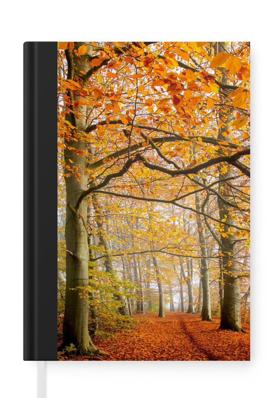 MuchoWow Notizbuch Herbst - Wald - Dänemark, Journal, Merkzettel, Tagebuch, Notizheft, A5, 98 Seiten, Haushaltsbuch