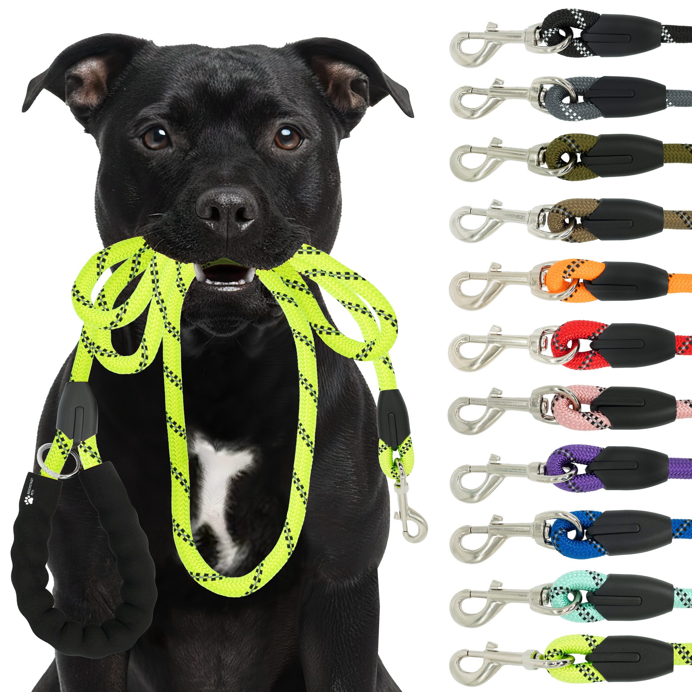 Reichstadt Hundeleine RS Pets Führleine Nylon 25RSP084, Nylon, Ergonomischer EVA-gepolsterter Griff für Blasenschutz von Reichstadt