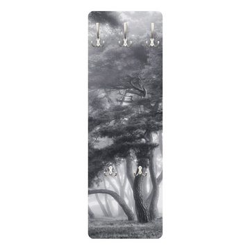 Bilderdepot24 Garderobenpaneel schwarz-weiß Bäume Wald Natur Majestätische Bäume in Schwarz-weiß (ausgefallenes Flur Wandpaneel mit Garderobenhaken Kleiderhaken hängend), moderne Wandgarderobe - Flurgarderobe im schmalen Hakenpaneel Design