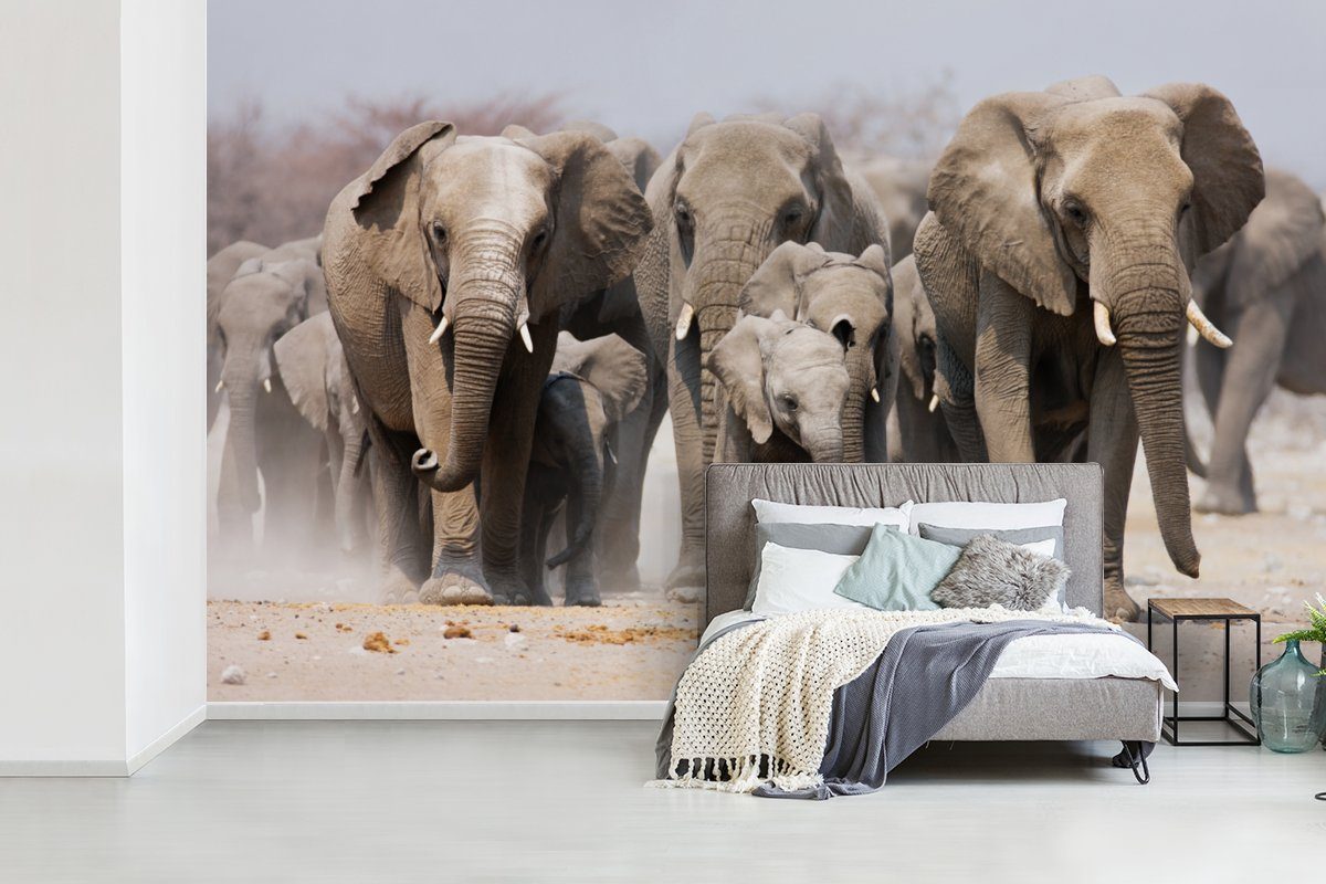 bedruckt, - Wohnzimmer Natur, Schlafzimmer, St), Wandtapete MuchoWow Elefanten (7 - Stoff oder Tapete für Matt, Fototapete Vinyl