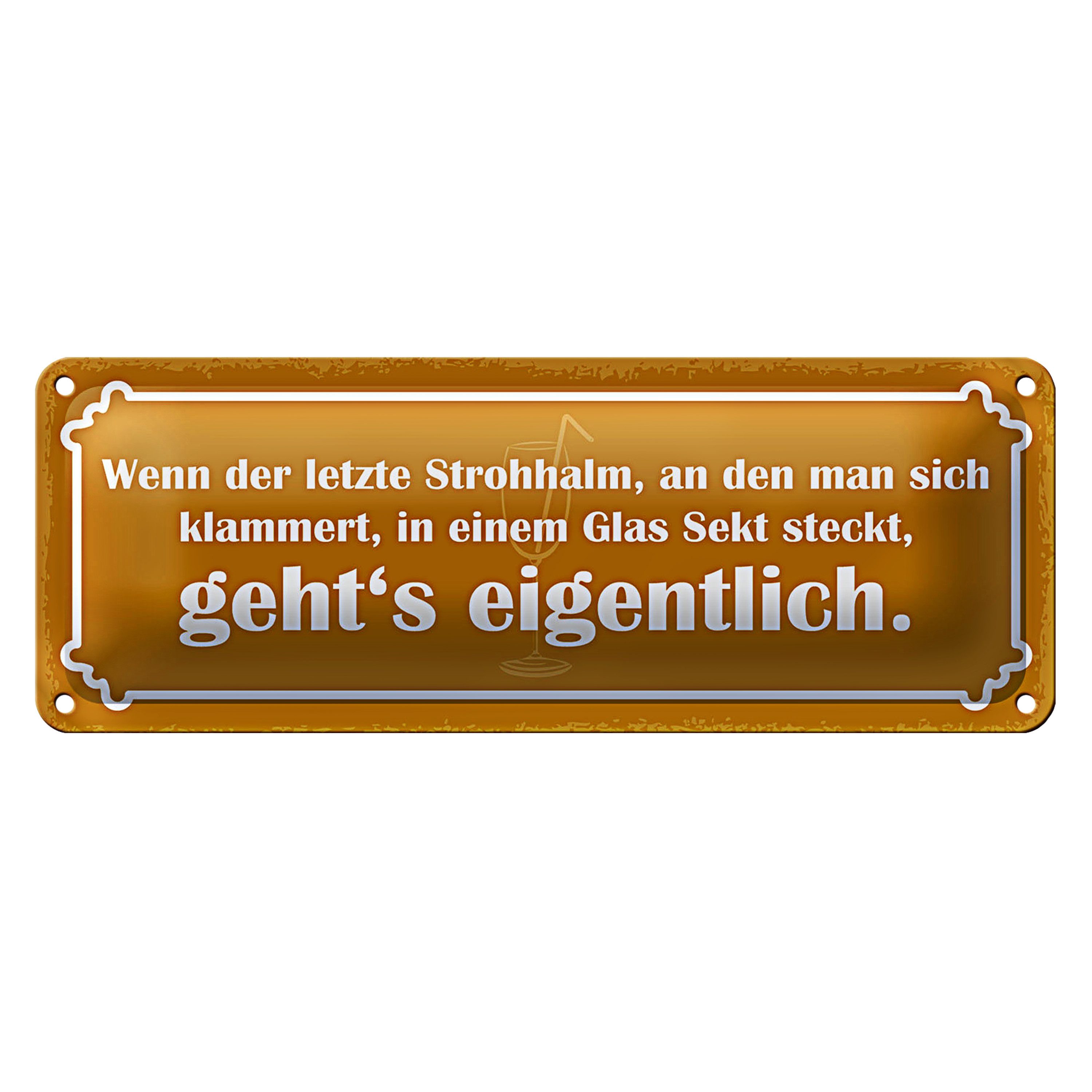 Roomando Metallschild Blechschild Spruch 27x10cm Strohhalm in einem Glas Sekt Dekoration