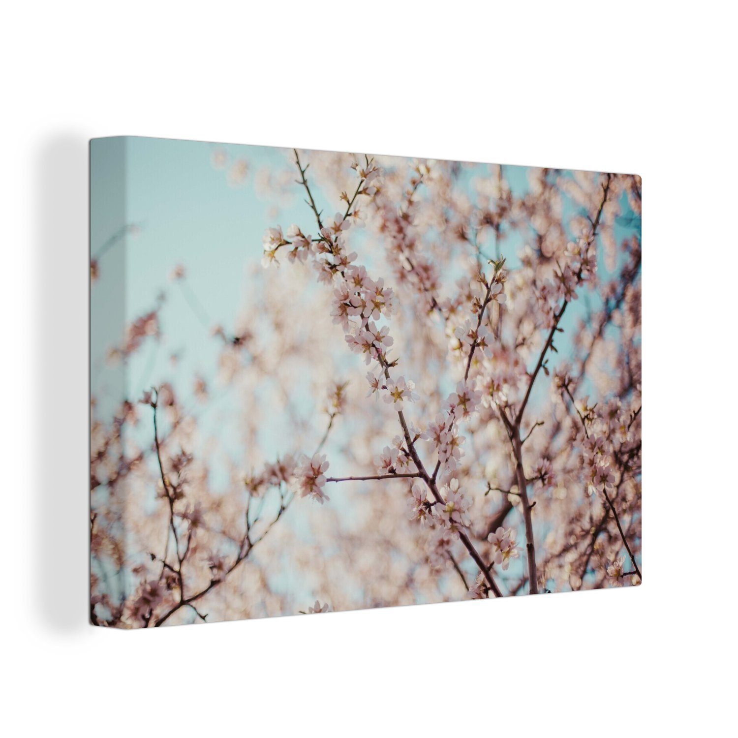 Wanddeko, 30x20 Aufhängefertig, OneMillionCanvasses® St), Mandelbäumen, Leinwandbilder, cm Nahaufnahme (1 Leinwandbild Wandbild von