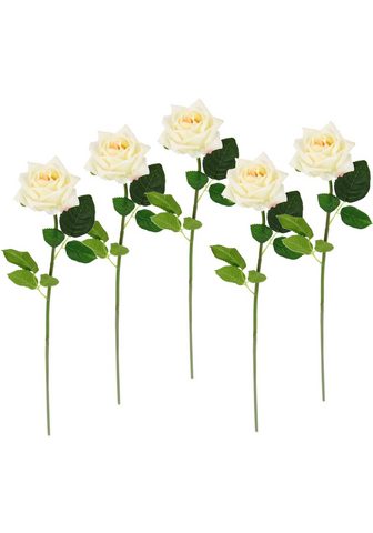 I.GE.A. Kunstblume »Rose« aukštis 45 cm 5er ri...