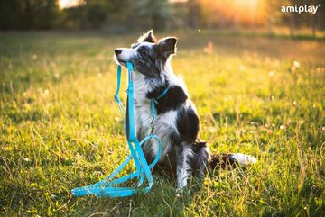 amiplay Hunde-Halsband Verstellbares Hundehalsband SAMBA, stufenlose Verstellmöglichkeit