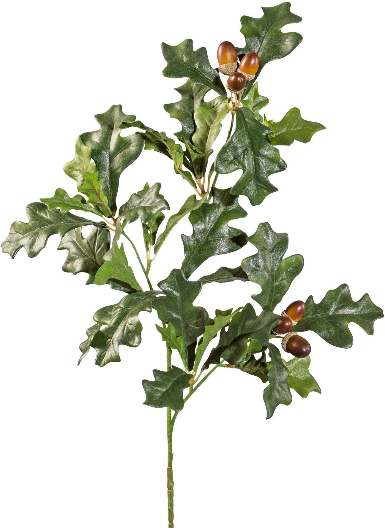 Kunstzweig Eichenzweig Eiche, Creativ green, Höhe günstig online kaufen