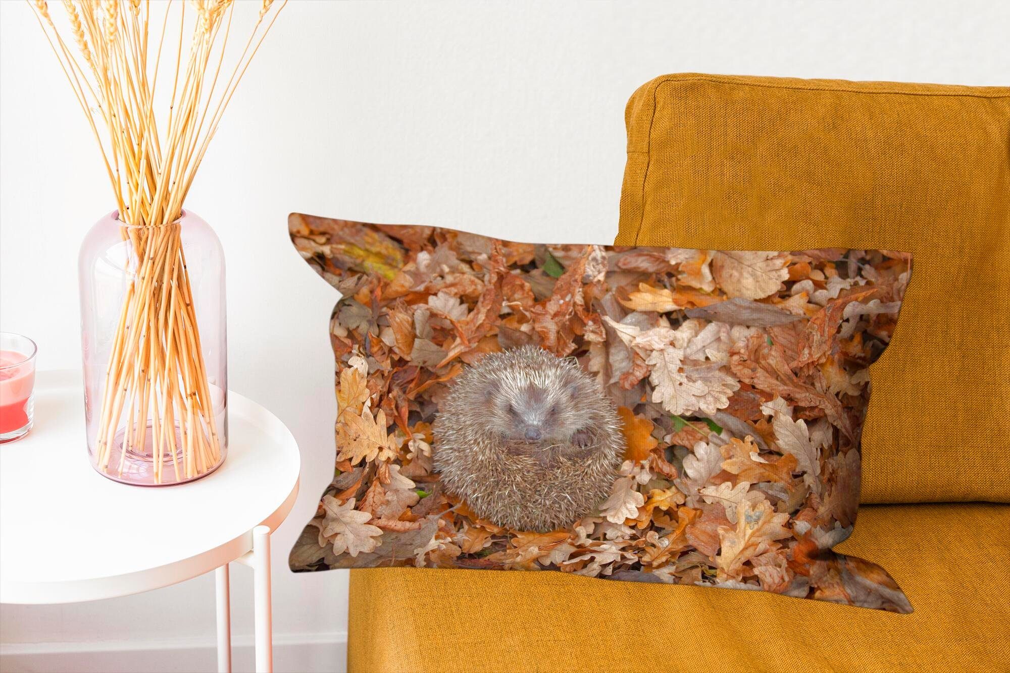 Igel mit eingerollt, in Wohzimmer Schlafzimmer Dekokissen MuchoWow Blättern Dekokissen Zierkissen, Dekoration, Füllung,