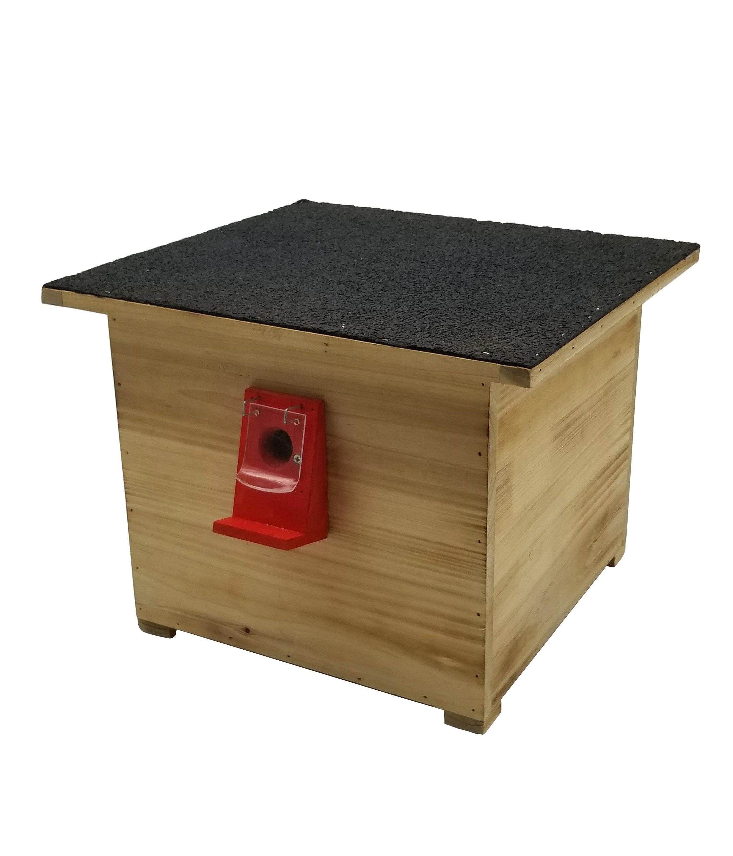 Dehner Insektenhotel Natura Hummel-Nistkasten, 38 x 34 x 28 cm, Holz, Schutz vor Wespen und Motten, Nistplatz für Hummeln