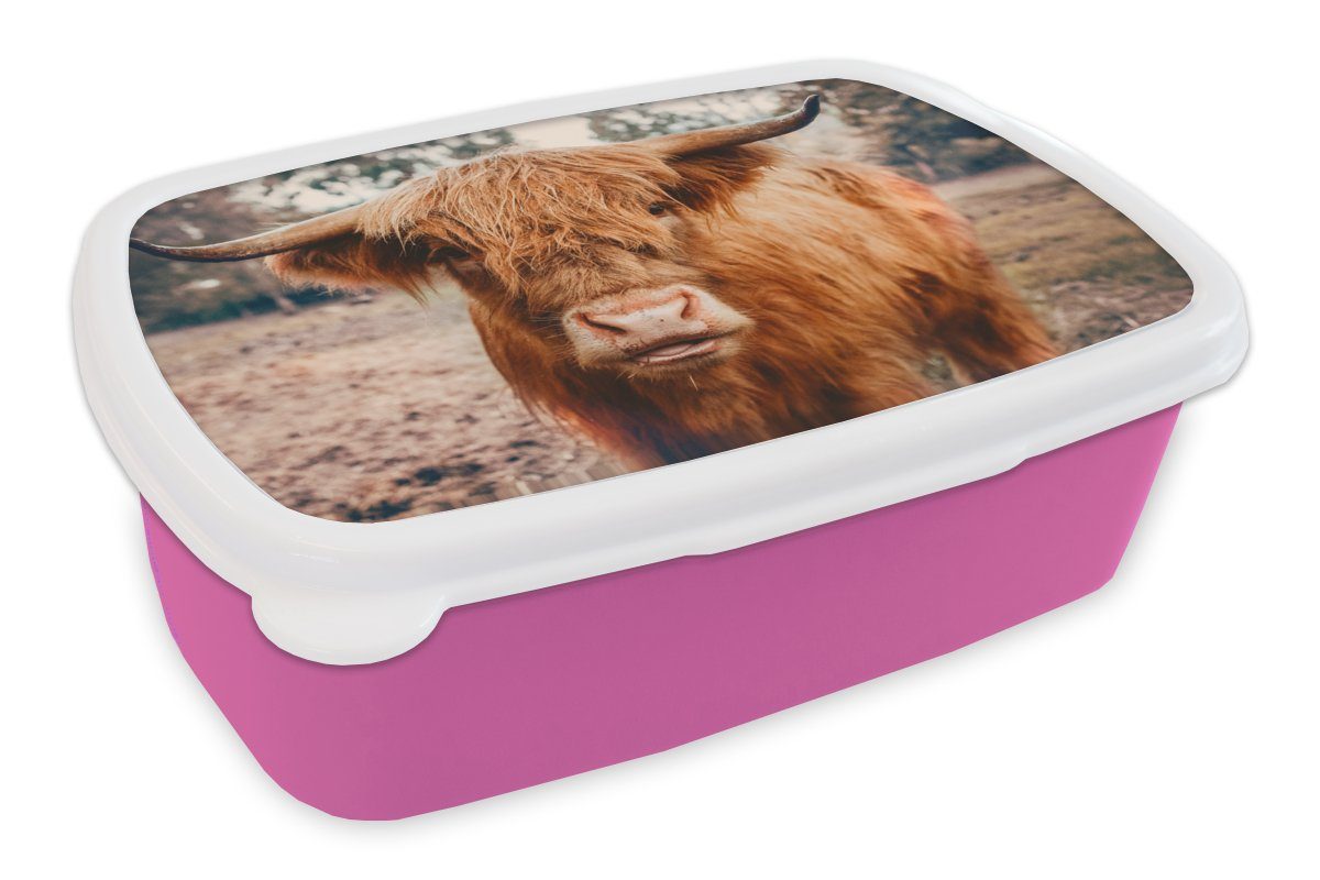 Lunchbox Mädchen, für Braun - rosa MuchoWow - Hochländer Kinder, Schottischer Kunststoff - Kuh Snackbox, - (2-tlg), Brotdose Erwachsene, Landschaft, Kunststoff, Hörner Brotbox