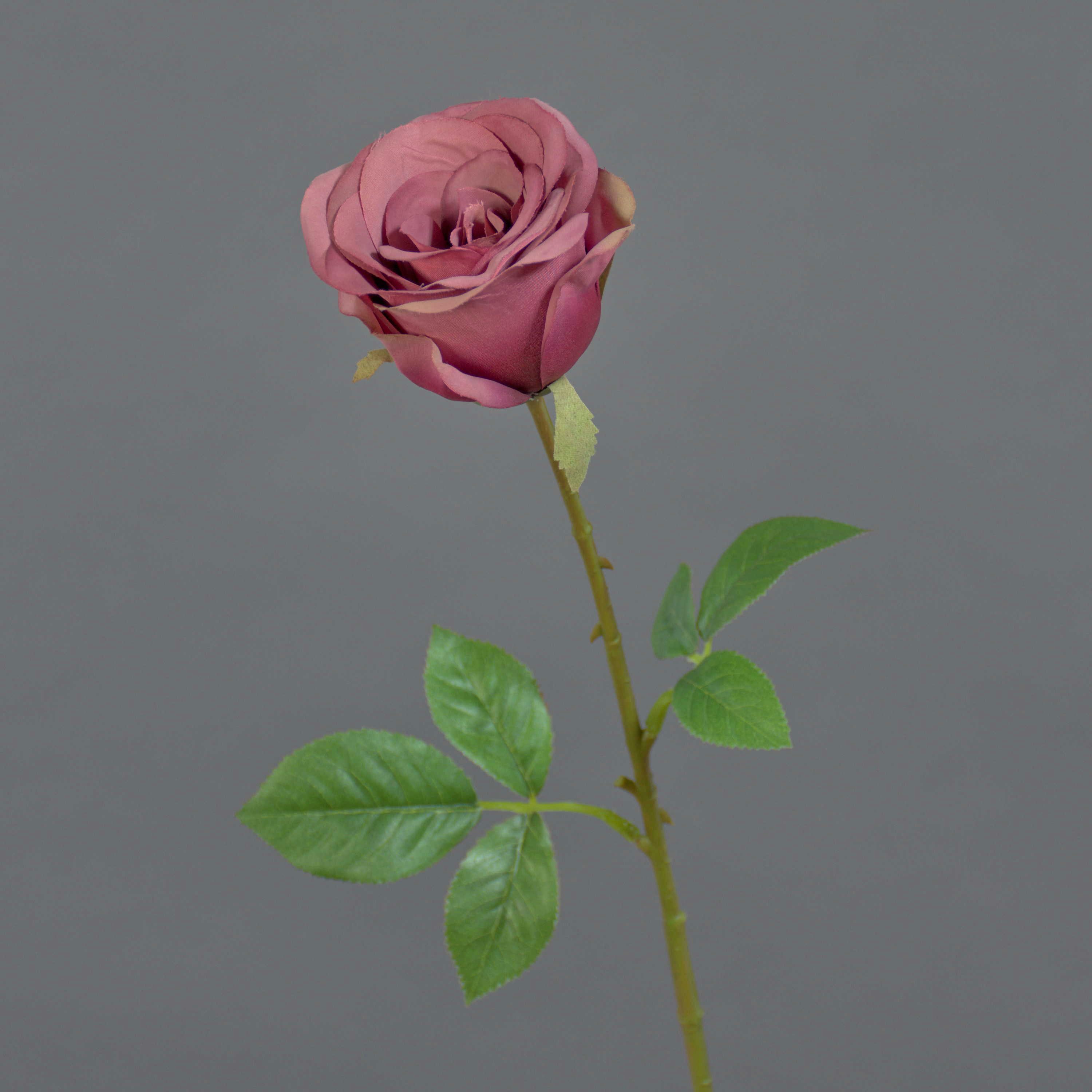 Kunstblume Kunstrose RUYUN, Altrosa-grün, 45 cm Rose, artplants, Höhe 45.0 cm