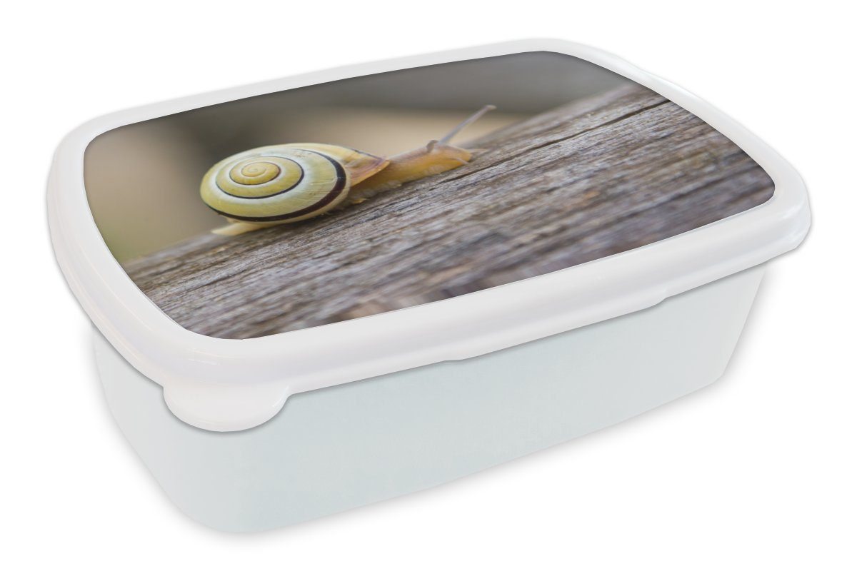 MuchoWow Lunchbox Schnecke - Baum - Holz, Kunststoff, (2-tlg), Brotbox für Kinder und Erwachsene, Brotdose, für Jungs und Mädchen weiß