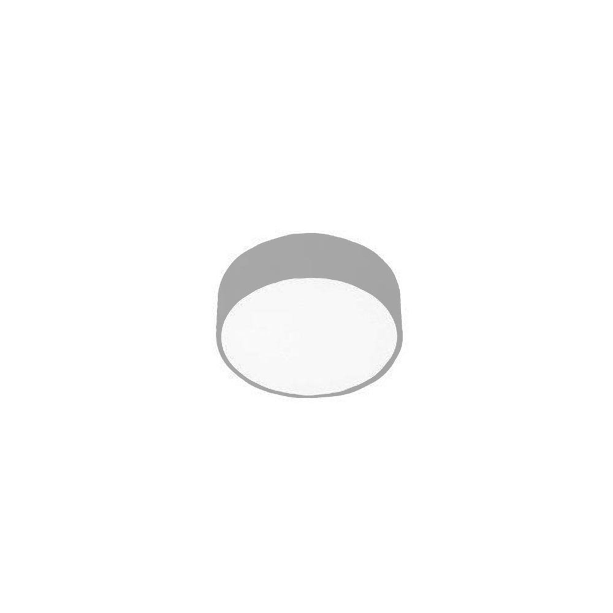 Licht-Trend Deckenleuchte Rondo LED-Deckenleuchte Highpower Silber, Warmweiß (3000K)