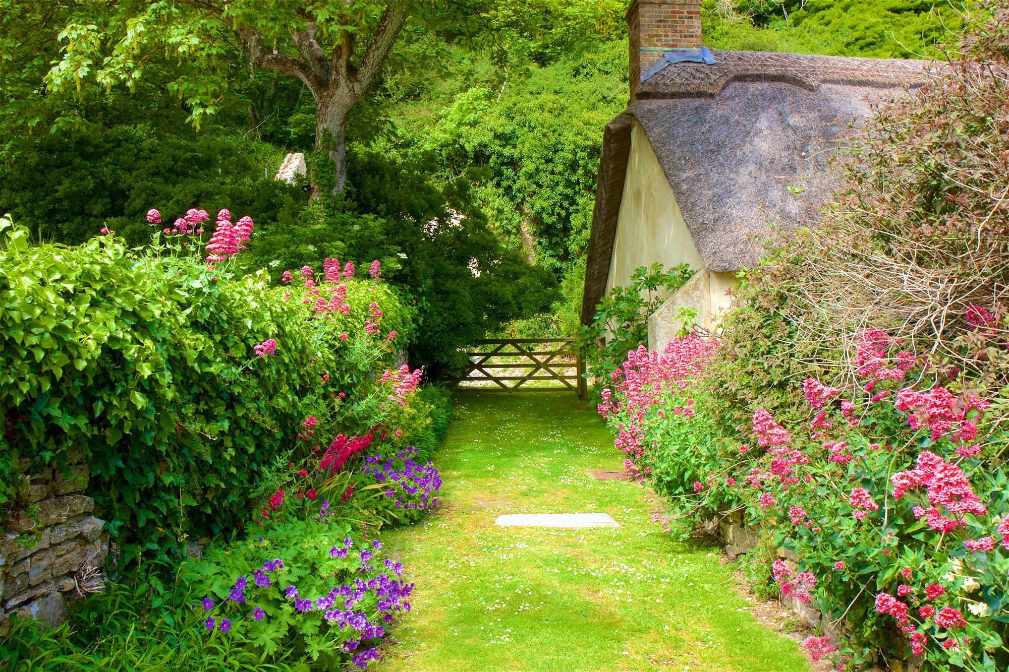 Papermoon Fototapete GARTEN-BLUMEN BÄUME PFLANZEN STEINE WALD PERGOLA BLÜTEN