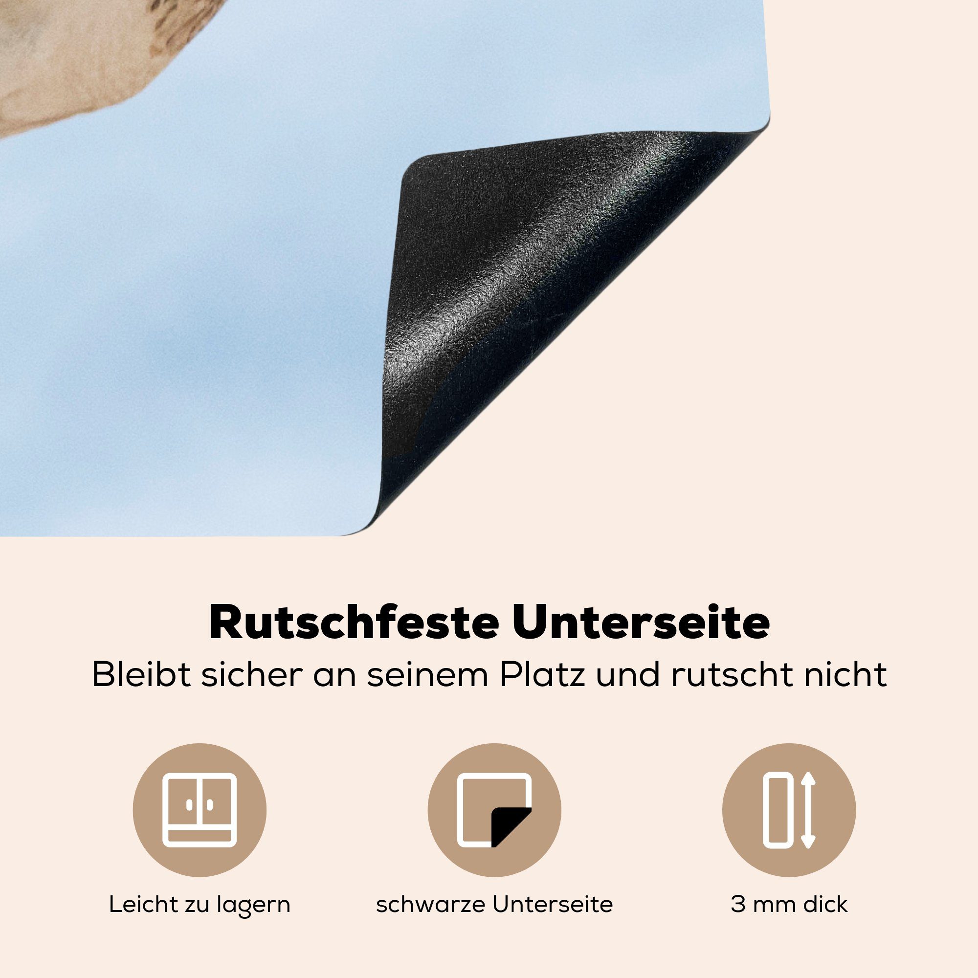 MuchoWow - Induktionskochfeld Vinyl, cm, tlg), - küche, die Fischadler Herdblende-/Abdeckplatte 71x52 Blau, Schutz (1 Himmel Ceranfeldabdeckung für