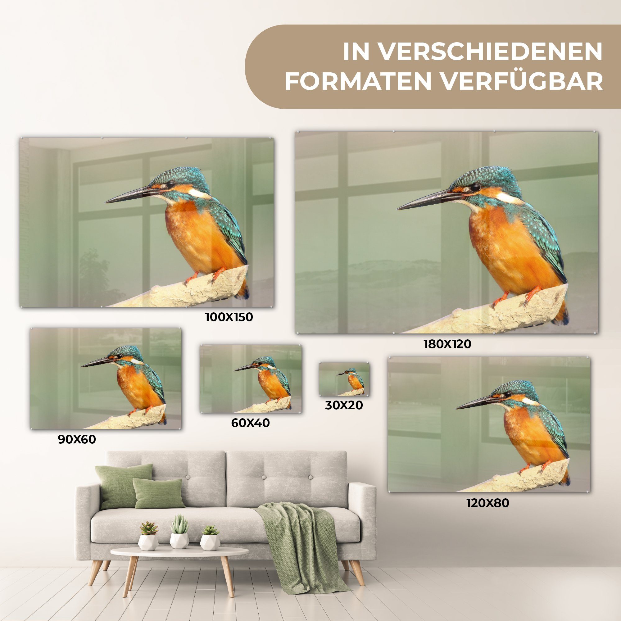 MuchoWow Acrylglasbild Vogel St), - (1 Wohnzimmer Zweig, Eisvogel & Schlafzimmer Acrylglasbilder 