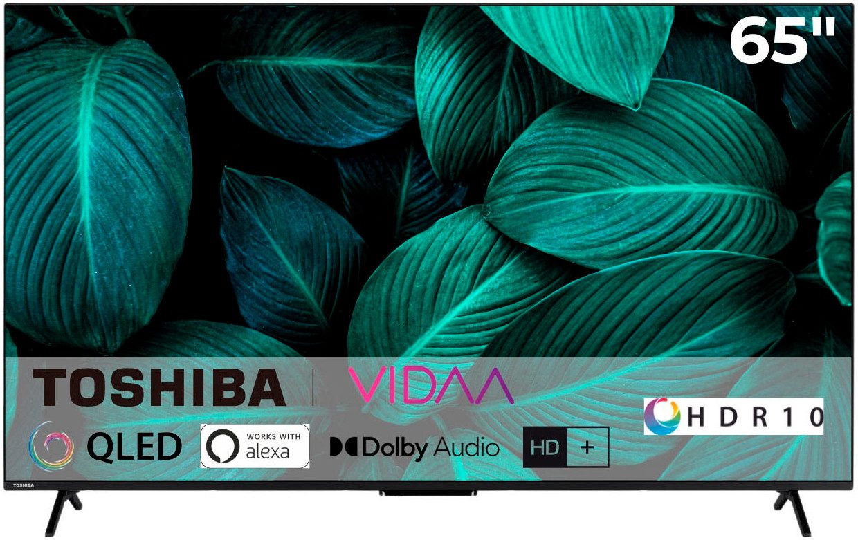 65QV2463DA QLED-Fernseher