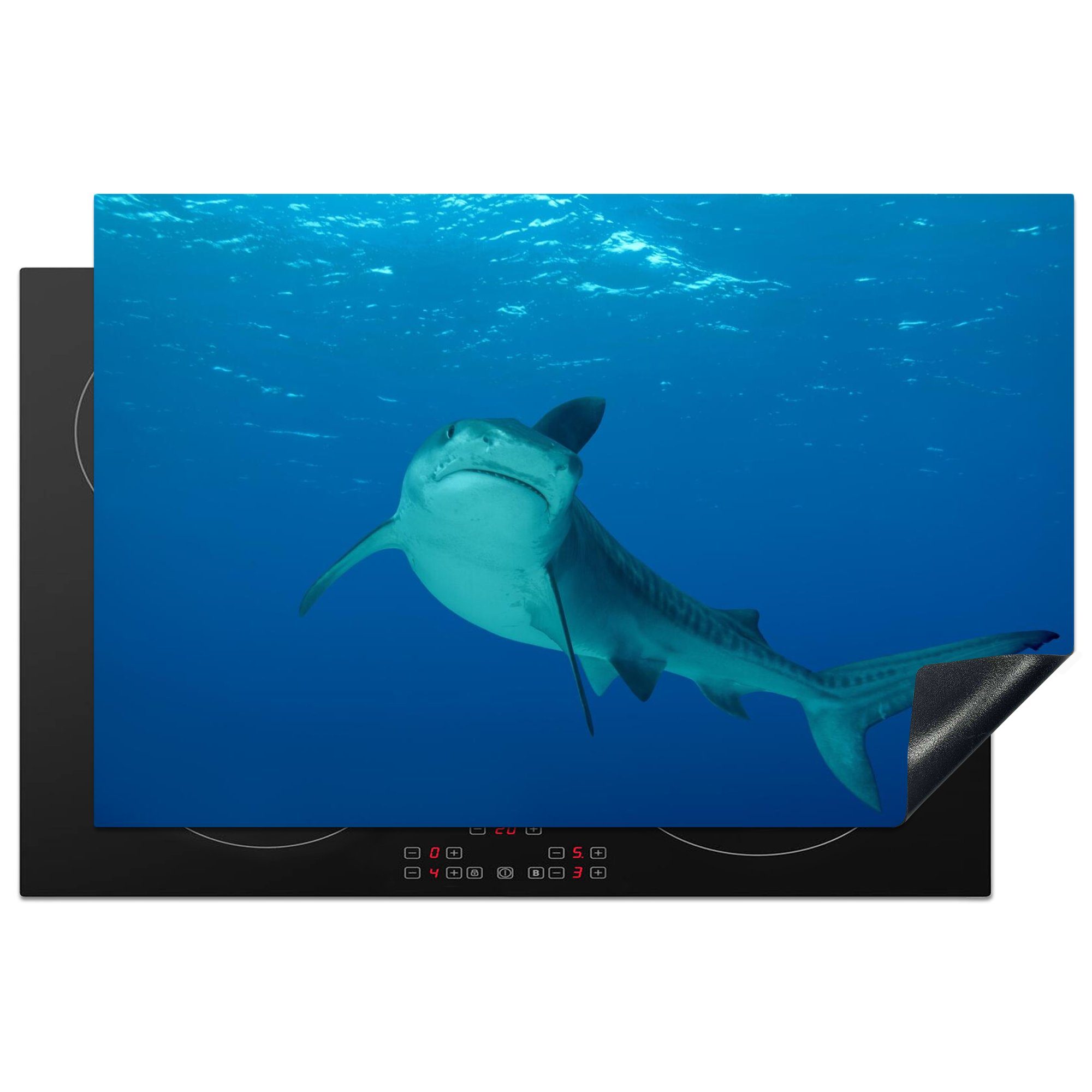 MuchoWow Herdblende-/Abdeckplatte Ein Tigerhai in einem klaren Ozean, Vinyl, (1 tlg), 81x52 cm, Induktionskochfeld Schutz für die küche, Ceranfeldabdeckung