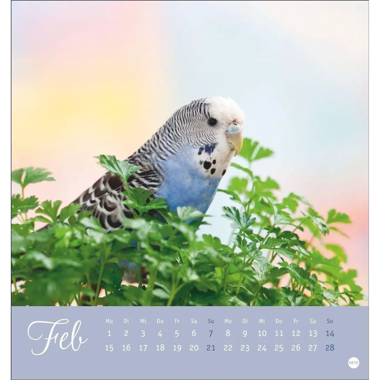 HEYE Wandkalender Freche Wellensittiche Postkartenkalender 2027