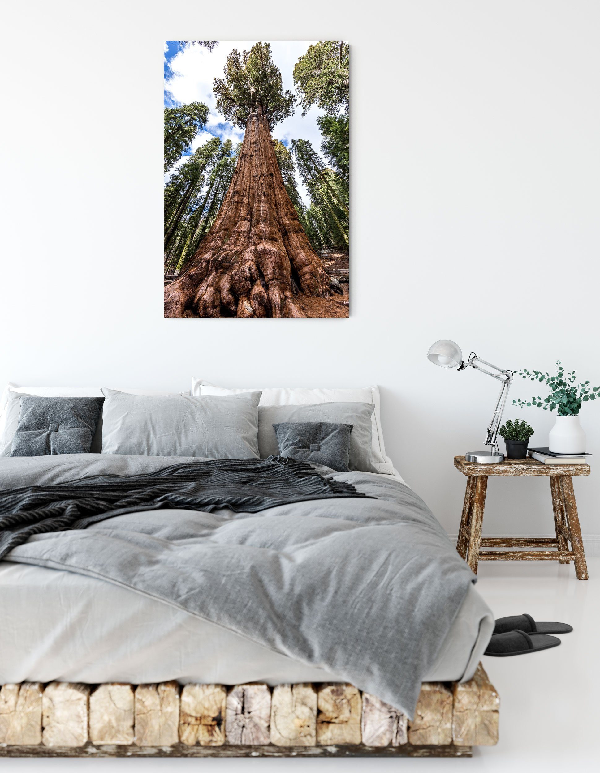 (1 Regenwald, inkl. Regenwald Baum Baum bespannt, Leinwandbild Zackenaufhänger St), Pixxprint im im Leinwandbild fertig
