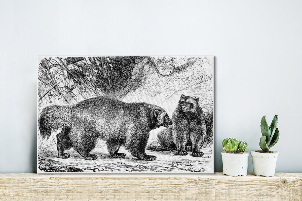 in Wanddeko, Illustration zwei Wandbild 30x20 cm von OneMillionCanvasses® Leinwandbilder, Vielfraßen Eine Leinwandbild St), Aufhängefertig, (1 schwarz-weiß,