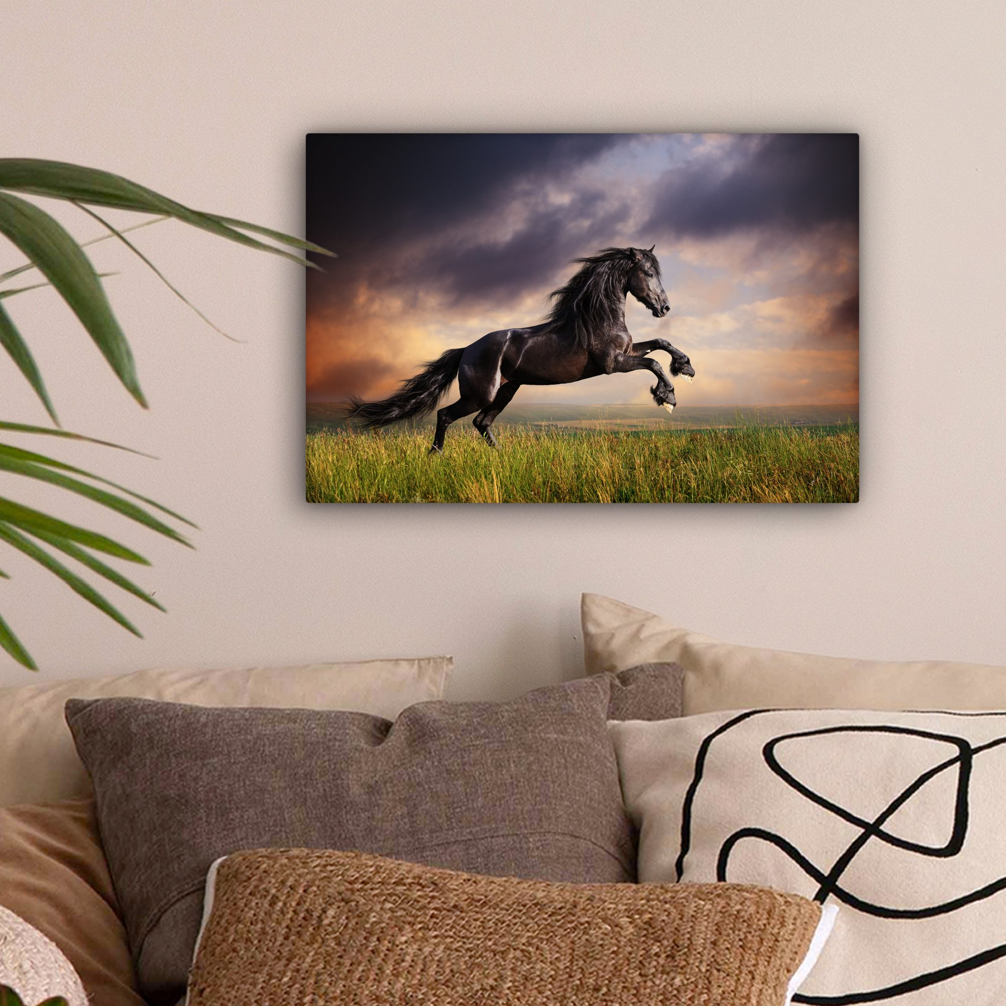 OneMillionCanvasses® Leinwandbild Pferd - Luft - günstig online kaufen
