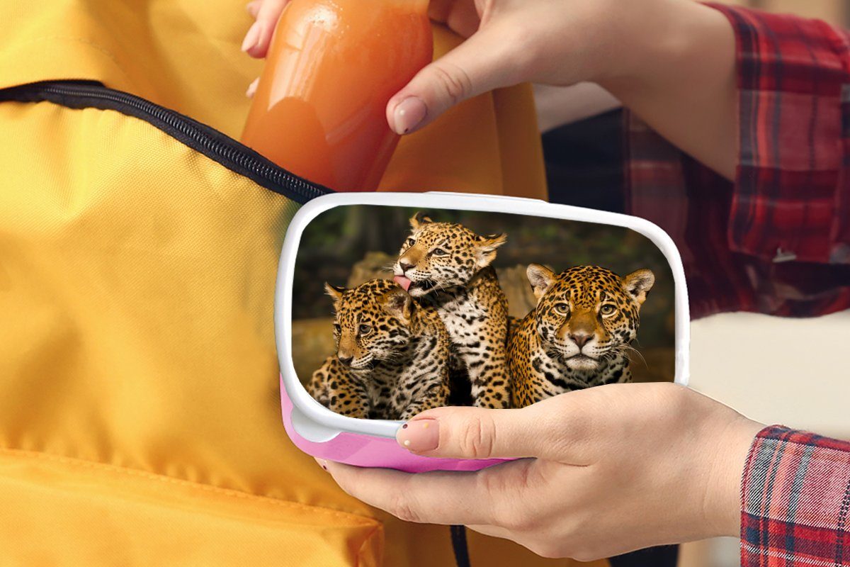 MuchoWow Kinder, - Natur, Erwachsene, Brotdose (2-tlg), für rosa Lunchbox Leopard Brotbox Kunststoff Snackbox, Tiere - Wilde Mädchen, Kunststoff,