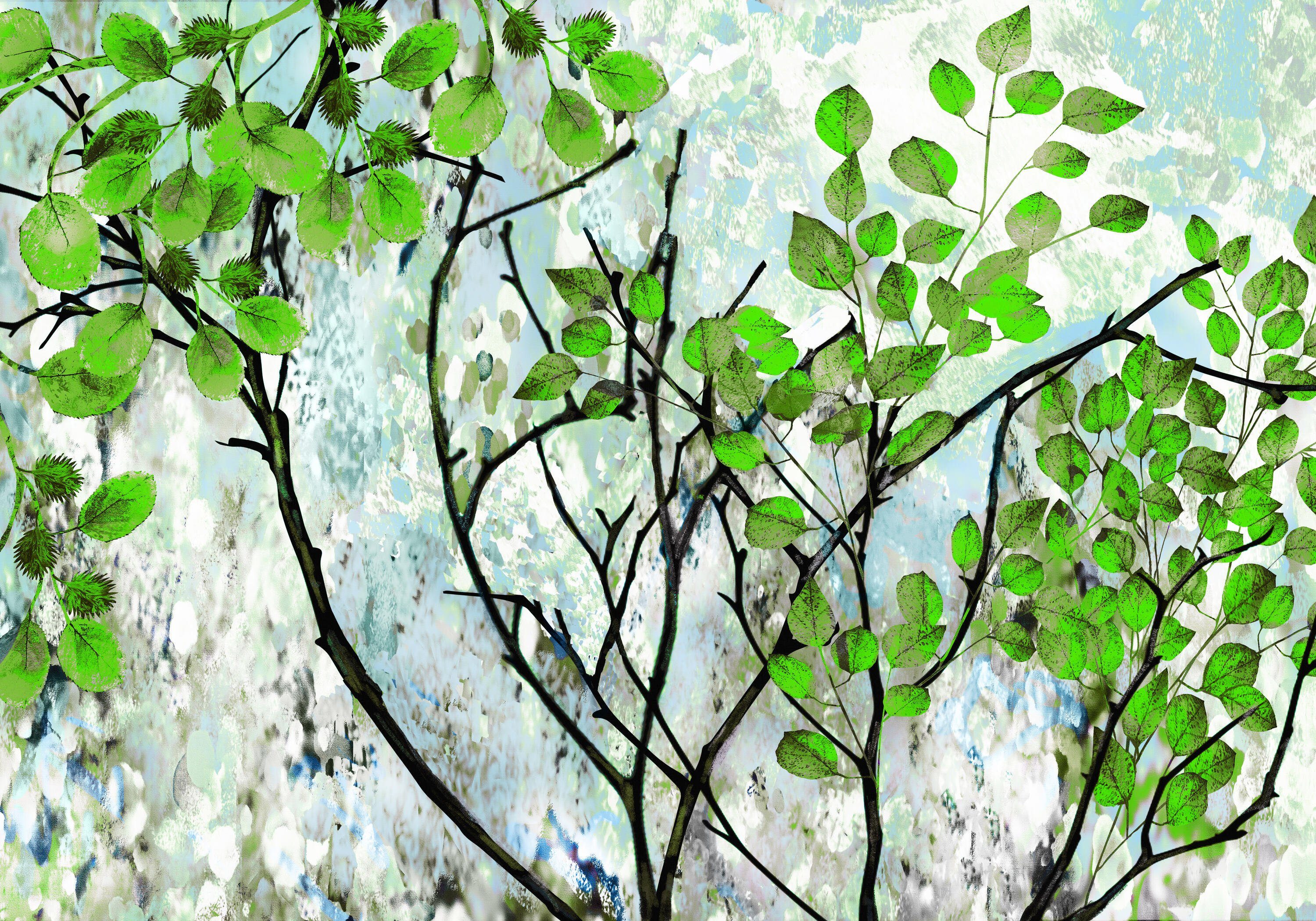 Fototapete Blätter, Vliestapete Baum Motivtapete, glatt, matt, wandmotiv24 grüne Wandtapete,