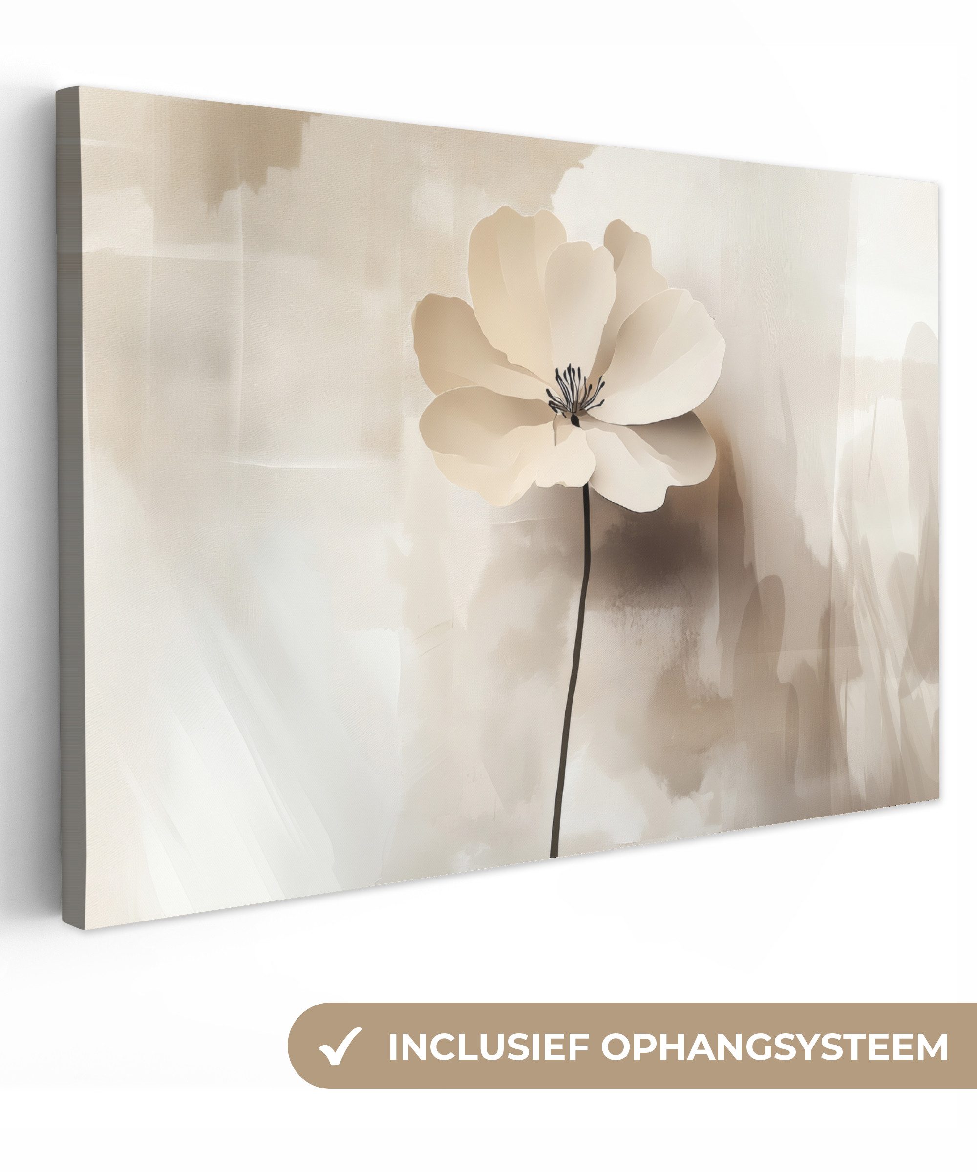OneMillionCanvasses® Leinwandbild Blume - Beige - Farbe - Schatten, Fotodruck (1 St), Leinwand Bilder Klein, Wand Dekoration Aesthetic 30x20 cm