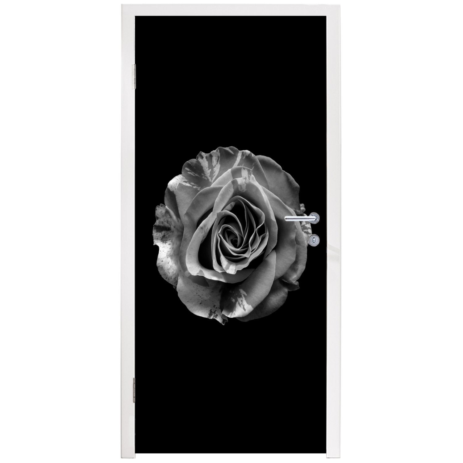 - St), Türtapete Matt, Türaufkleber, Weiß - für Schwarz Botanisch, cm - - Rose MuchoWow Blumen Tür, 75x205 bedruckt, (1 Fototapete