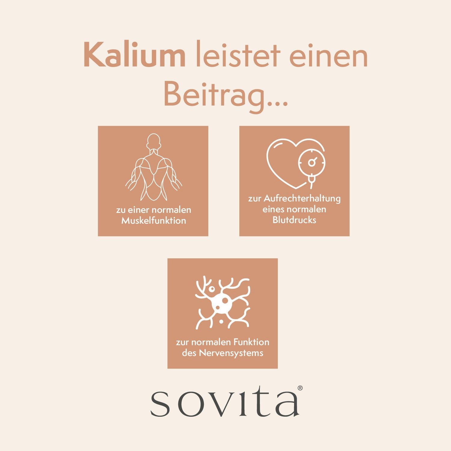 Ascopharm Kalium Opti 400 Kapseln, 120 Stk. mit 400 mg Kalium vegan 1, 1 er 120 St.