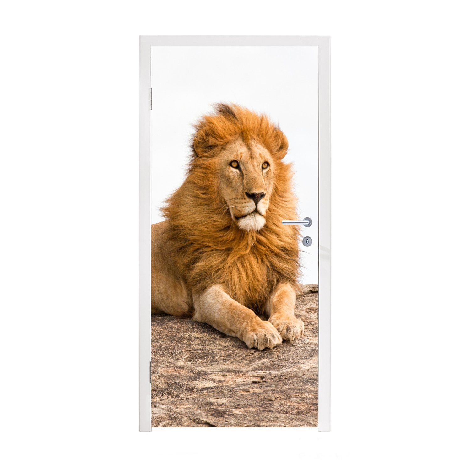 MuchoWow Türtapete Löwe - Mähne - Tier, Matt, bedruckt, (1 St), Fototapete für Tür, Türaufkleber, 75x205 cm