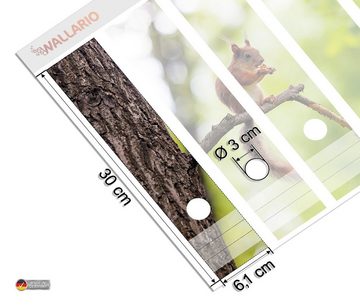 Wallario Etiketten Eichhörnchen auf einem Ast, Ordnerrücken-Sticker in verschiedenen Ausführungen