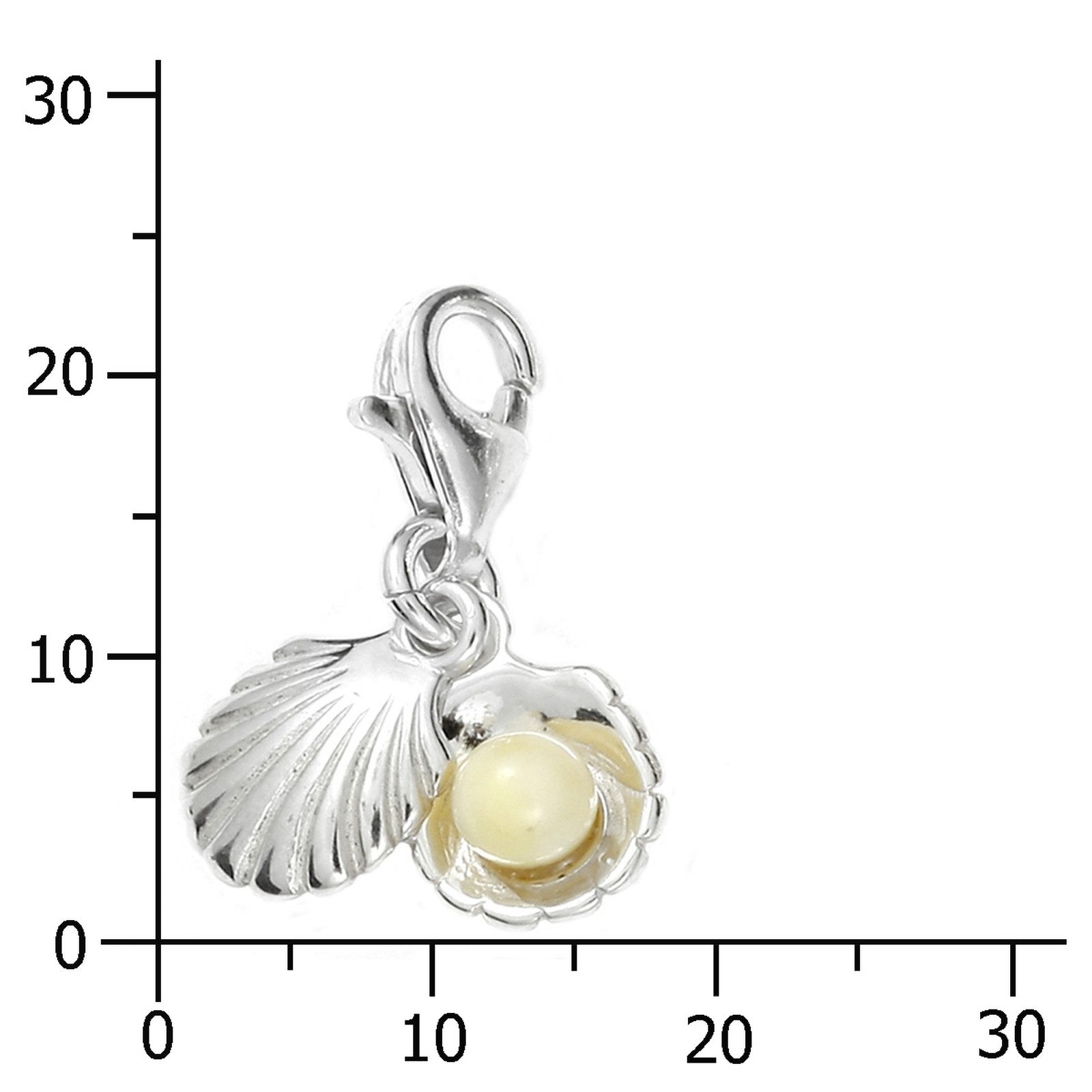 OSTSEE-SCHMUCK Kettenanhänger Ostsee-Schmuck Charm-Einhänger Muschel Charm- günstig online kaufen