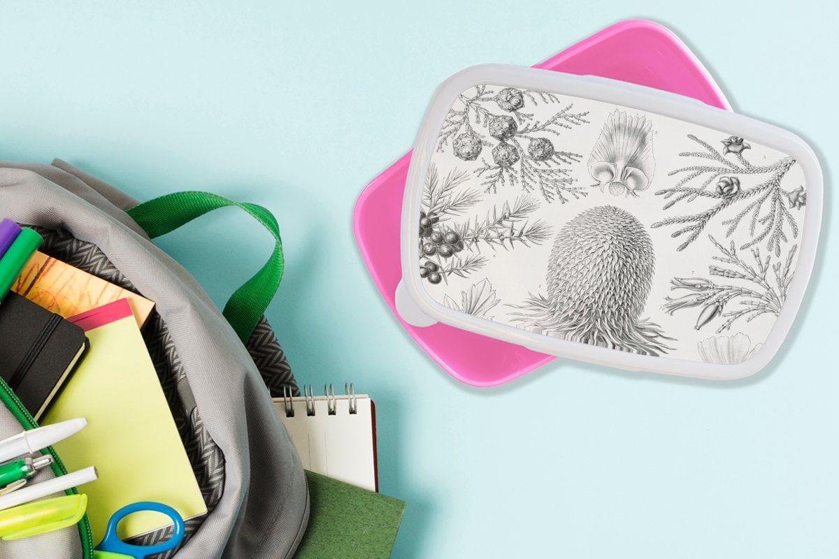 MuchoWow Lunchbox Koniferen - Retro Ernst Kunst Haeckel - Brotbox - Brotdose Kunststoff rosa für Kinder, Erwachsene, Natur, Snackbox, Illustration - Kunststoff, (2-tlg), - Mädchen