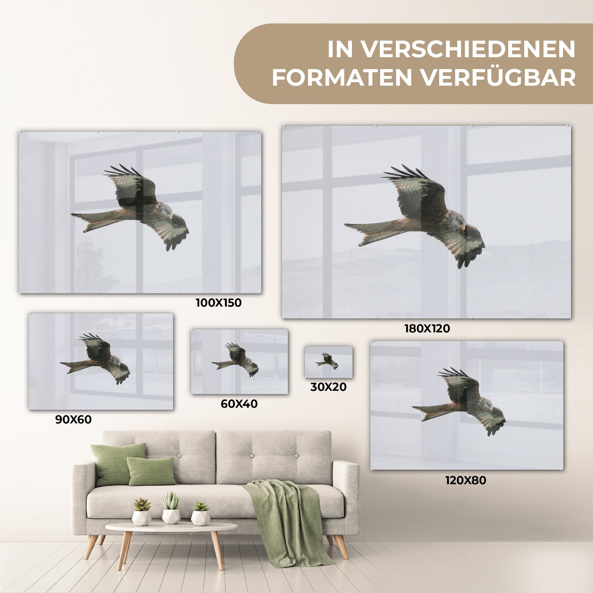 St), Acrylglasbild MuchoWow Schlafzimmer Acrylglasbilder Vogel Raubvogel - Fliegen, & Wohnzimmer - (1