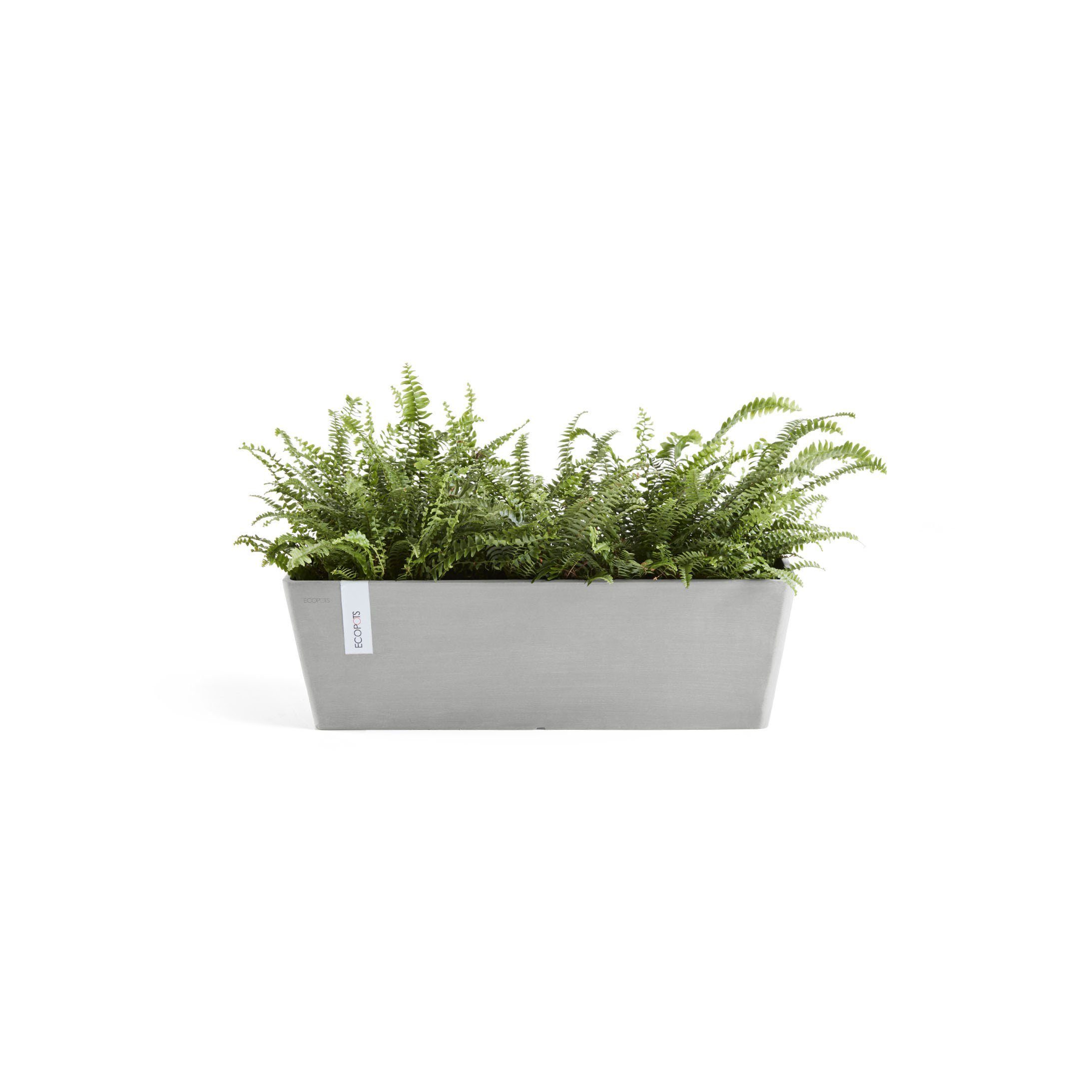 Wasserbehälter, mit cm 17x55x17 BxTxH: Blumentopf Bruges, ECOPOTS