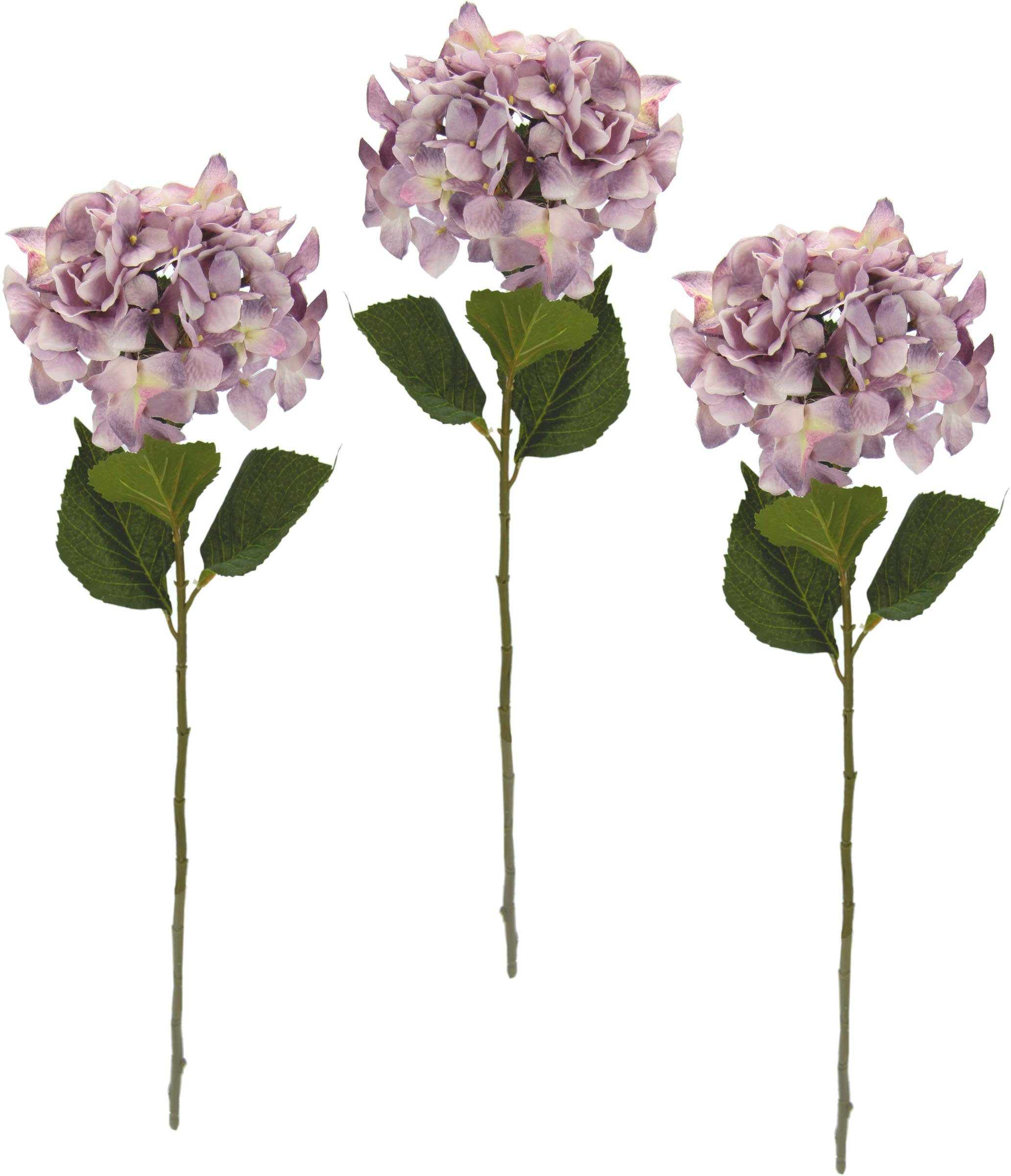 Kunstblume Hortensie, I.GE.A., Höhe 73 mauve cm, Set 3er