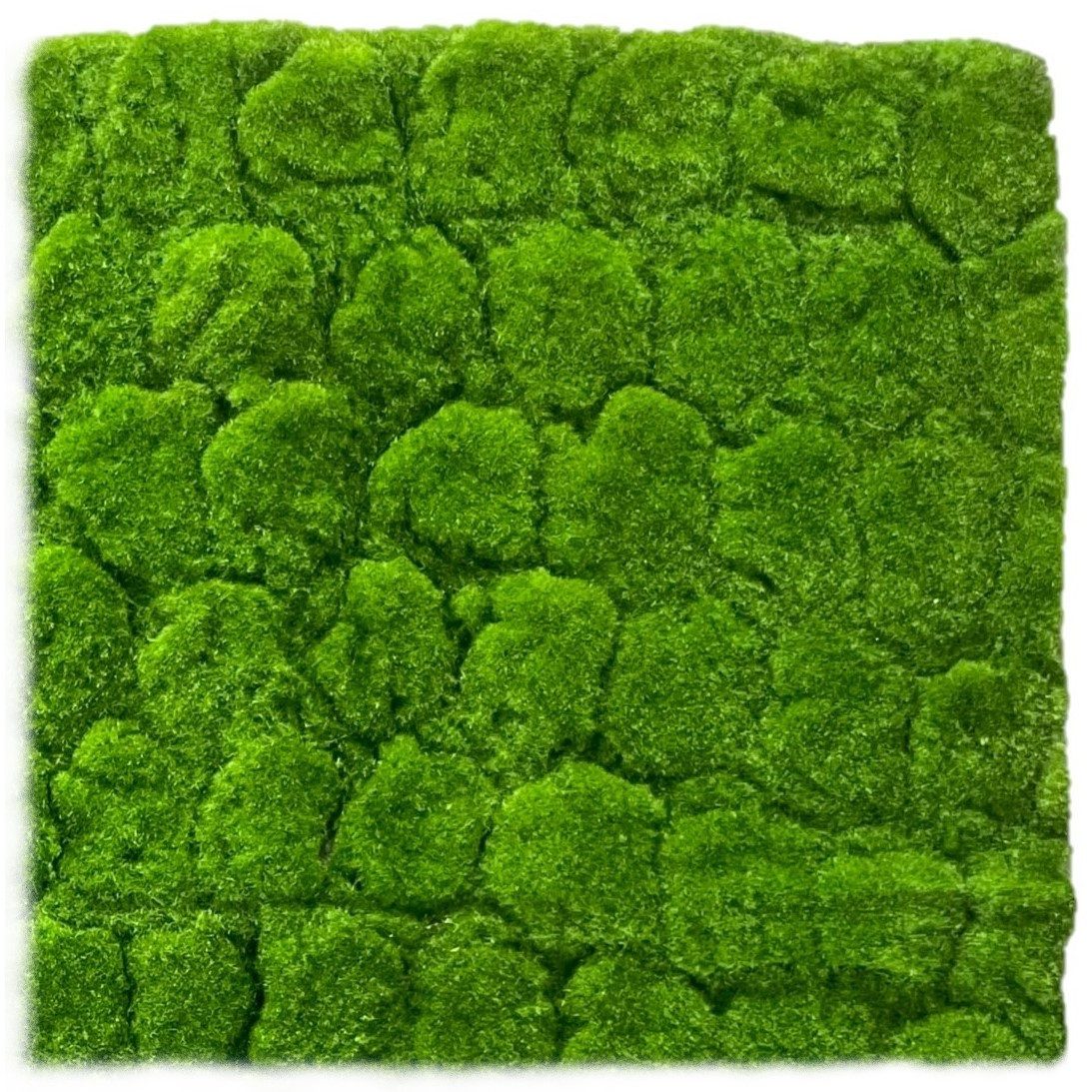 Kunstgras Künstliches Moos 50 x 50 cm. Moosmatte GRÜN, naninoa GmbH, Höhe 1.50 cm