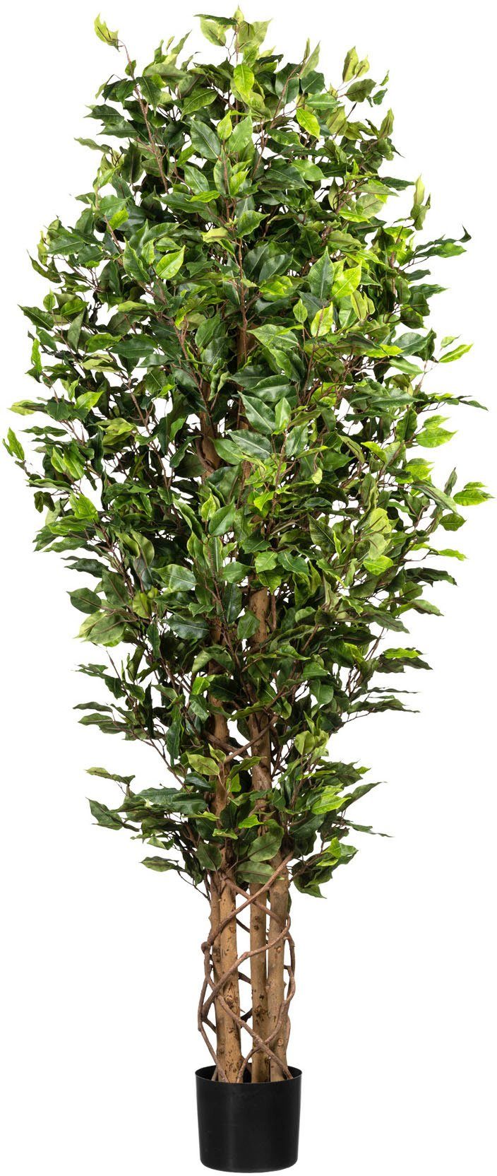 Kunstpflanze Kunstpflanzen Exklusiver Ficus Benjamini ca 180 cm getopft SALE 