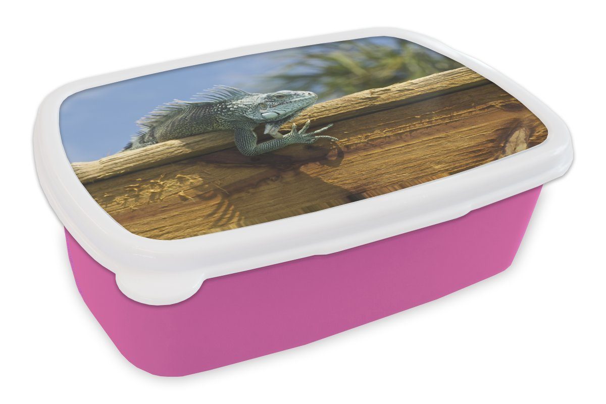für Holz Snackbox, eines Brotdose Kunststoff Erwachsene, in rosa Mädchen, Darstellung Kinder, (2-tlg), Leguans auf Brotbox Curacao, MuchoWow Kunststoff, Lunchbox