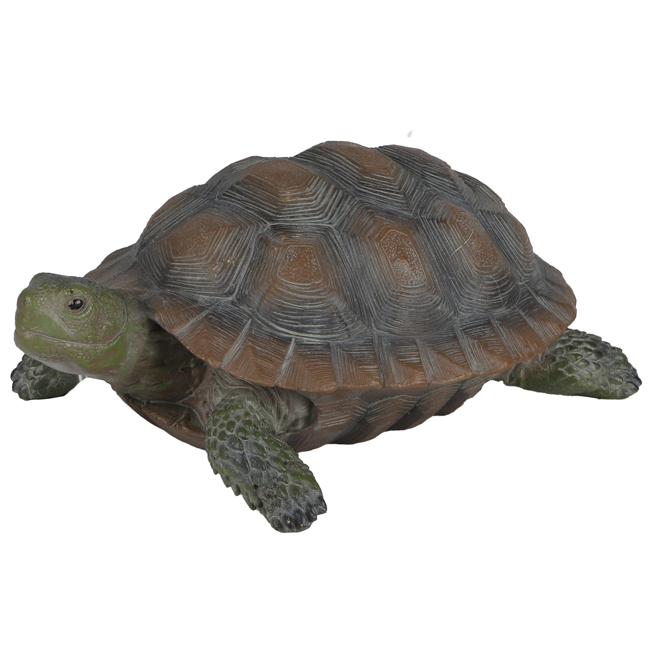 Annastore Dekofigur Gartenfigur Schildkröte Gartenfigur Schildkröte